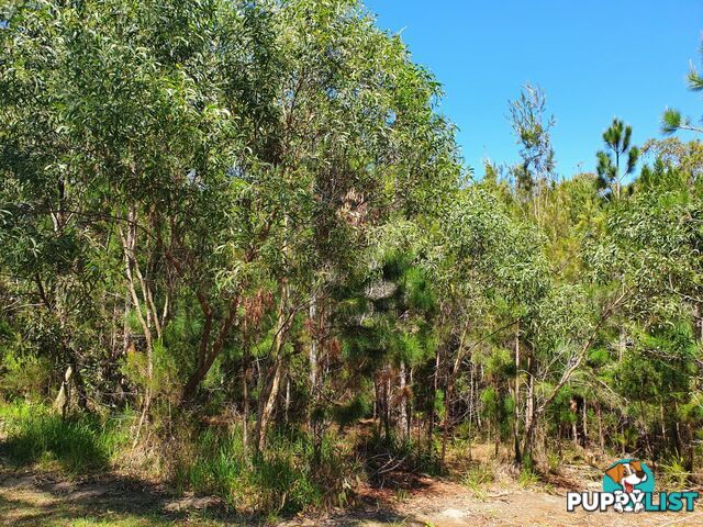 19 Piccaninny Street MACLEAY ISLAND QLD 4184