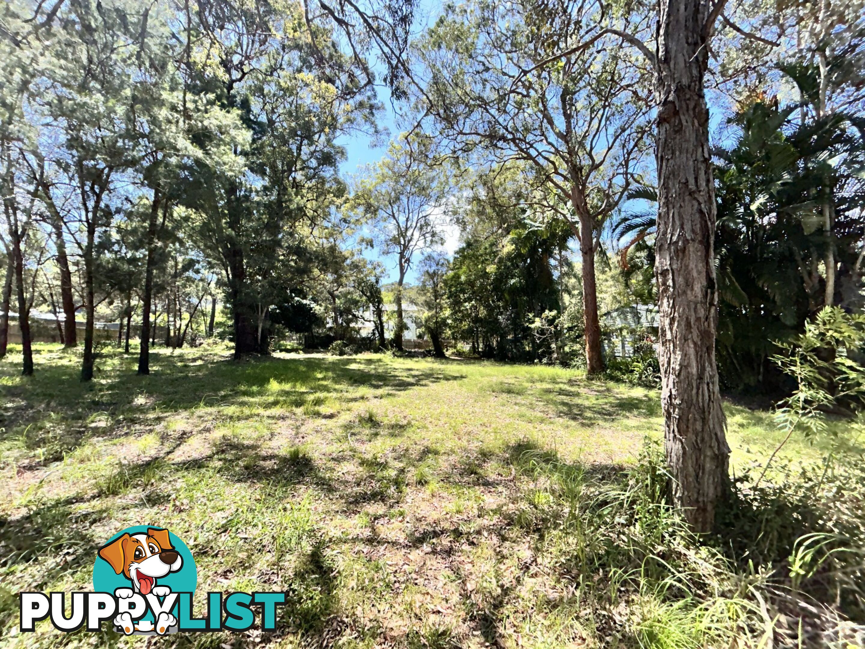 6 Natone Terrace MACLEAY ISLAND QLD 4184