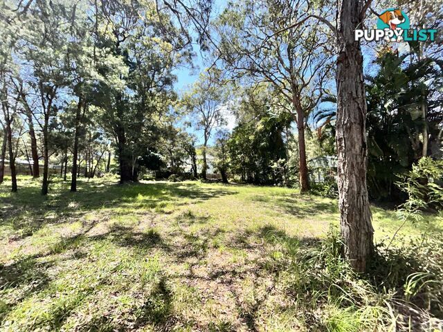 6 Natone Terrace MACLEAY ISLAND QLD 4184