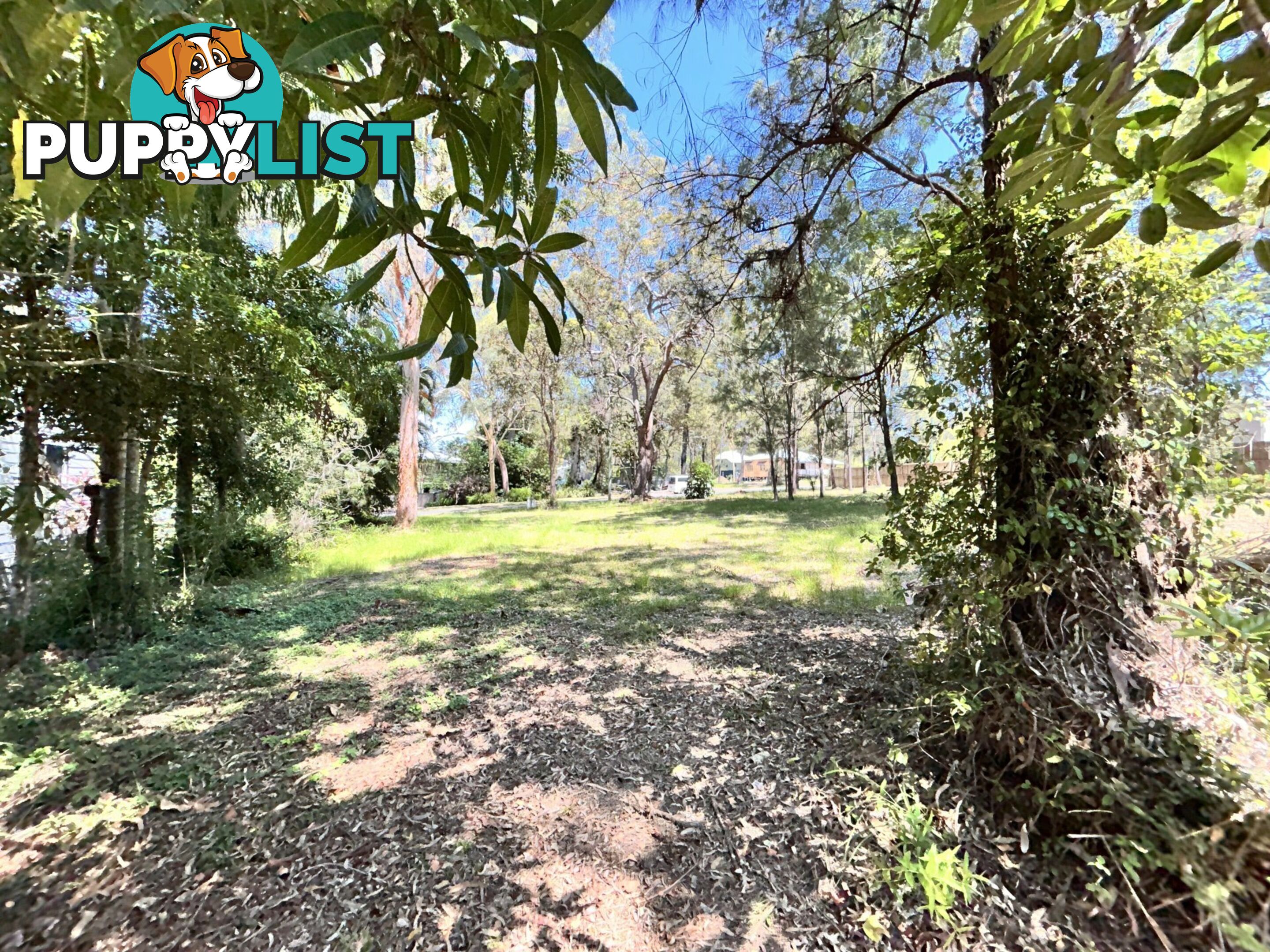 6 Natone Terrace MACLEAY ISLAND QLD 4184