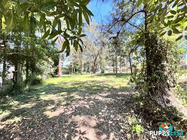 6 Natone Terrace MACLEAY ISLAND QLD 4184