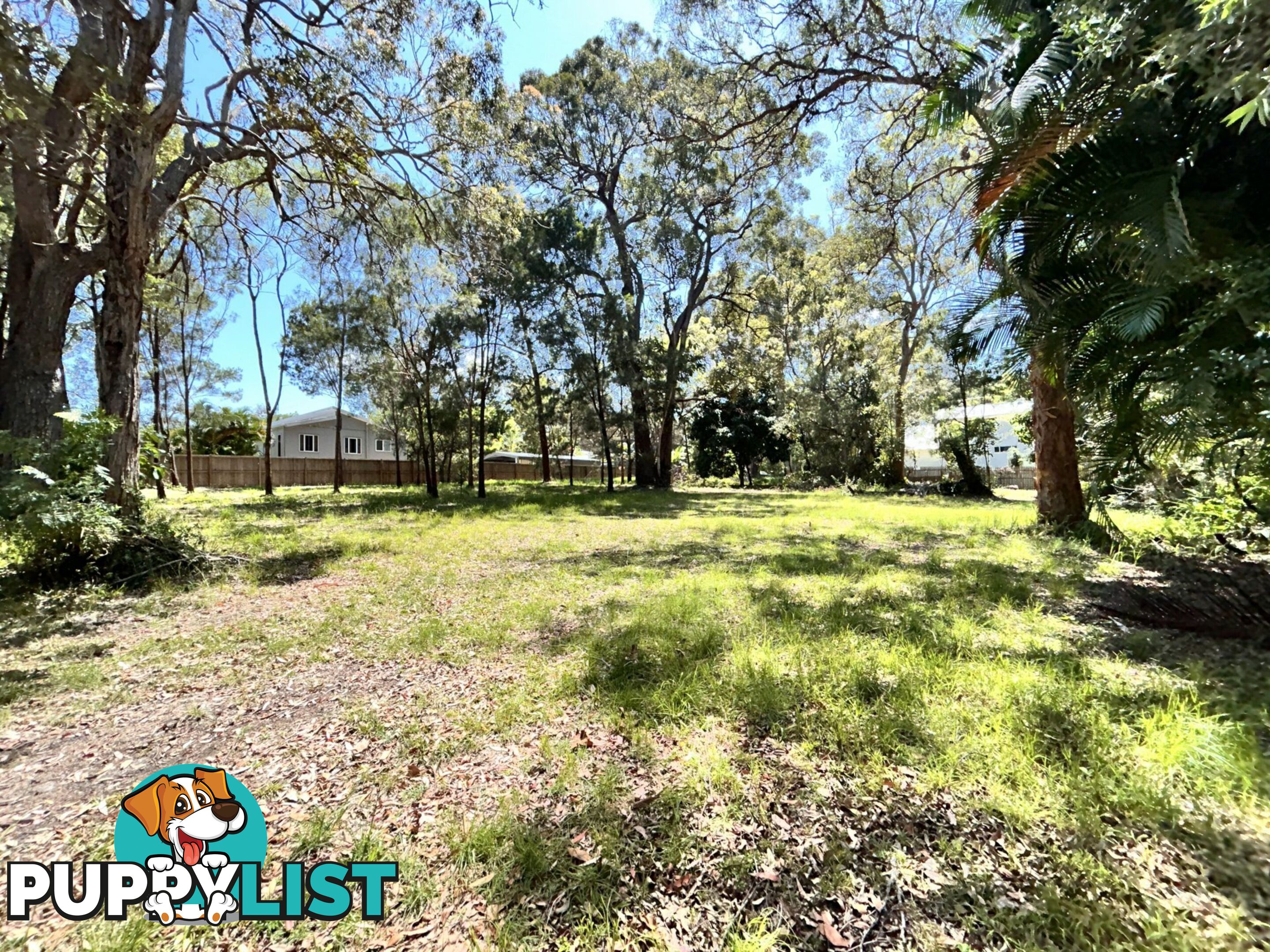 6 Natone Terrace MACLEAY ISLAND QLD 4184