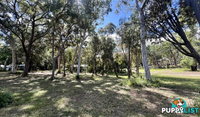 9 Oomool Street MACLEAY ISLAND QLD 4184