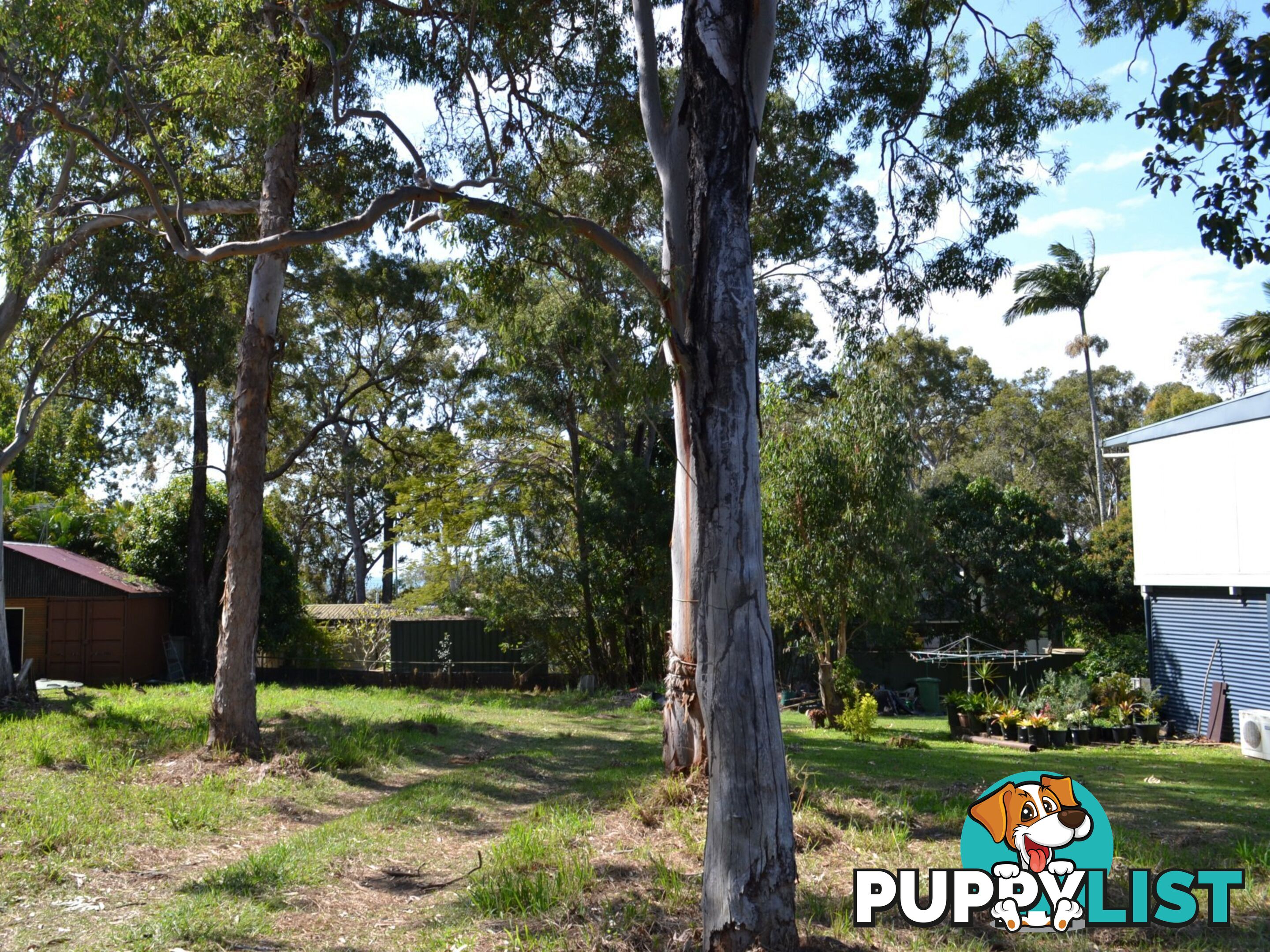 9 Double Bay Street MACLEAY ISLAND QLD 4184