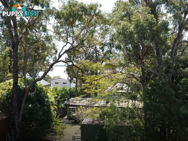 9 Double Bay Street MACLEAY ISLAND QLD 4184