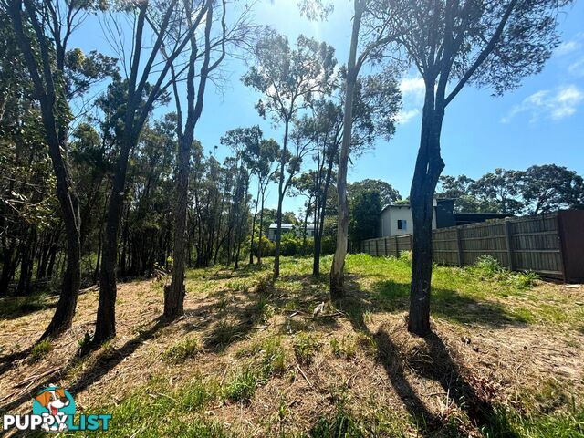 33 Camena Street MACLEAY ISLAND QLD 4184