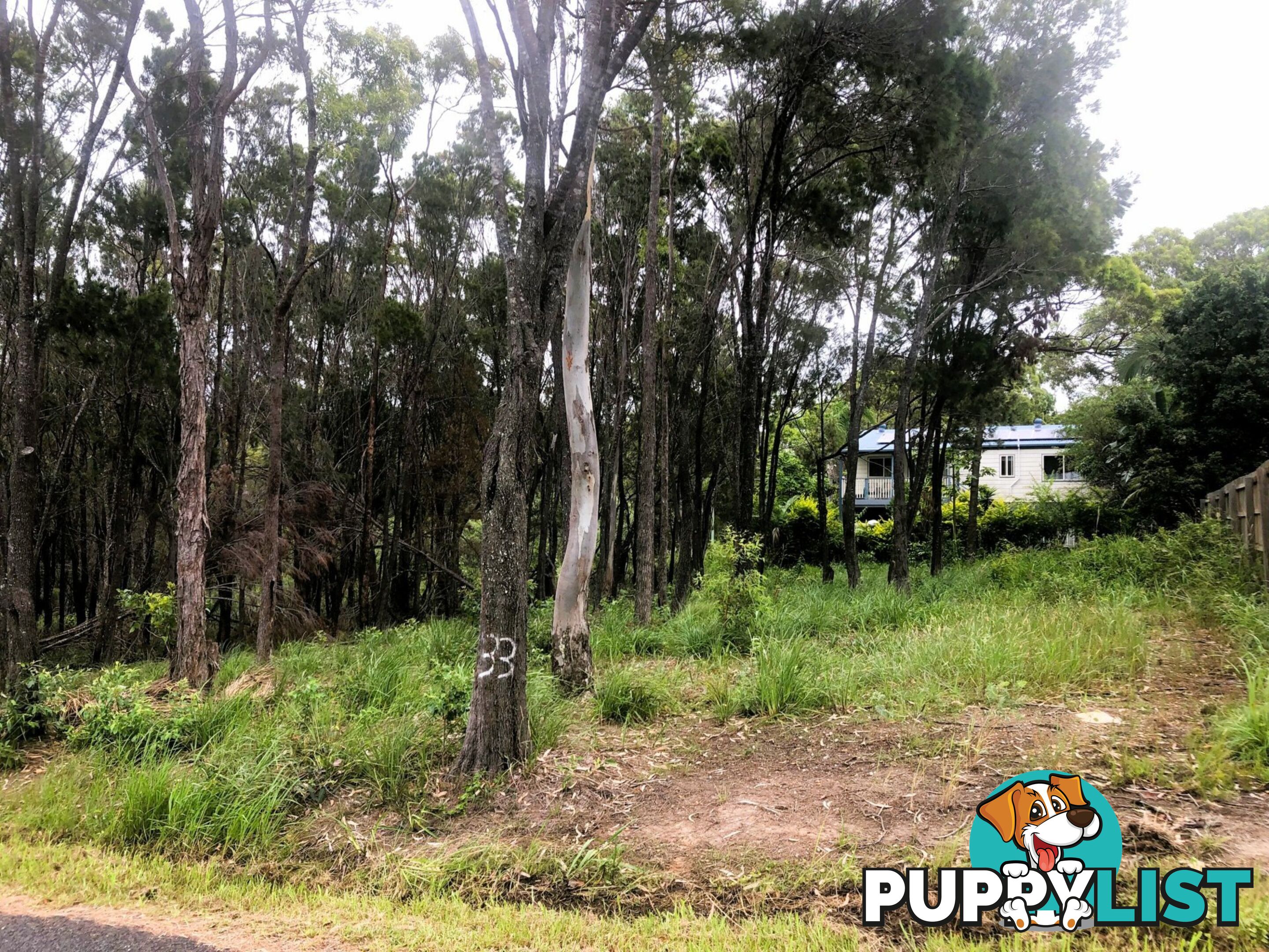 33 Camena Street MACLEAY ISLAND QLD 4184