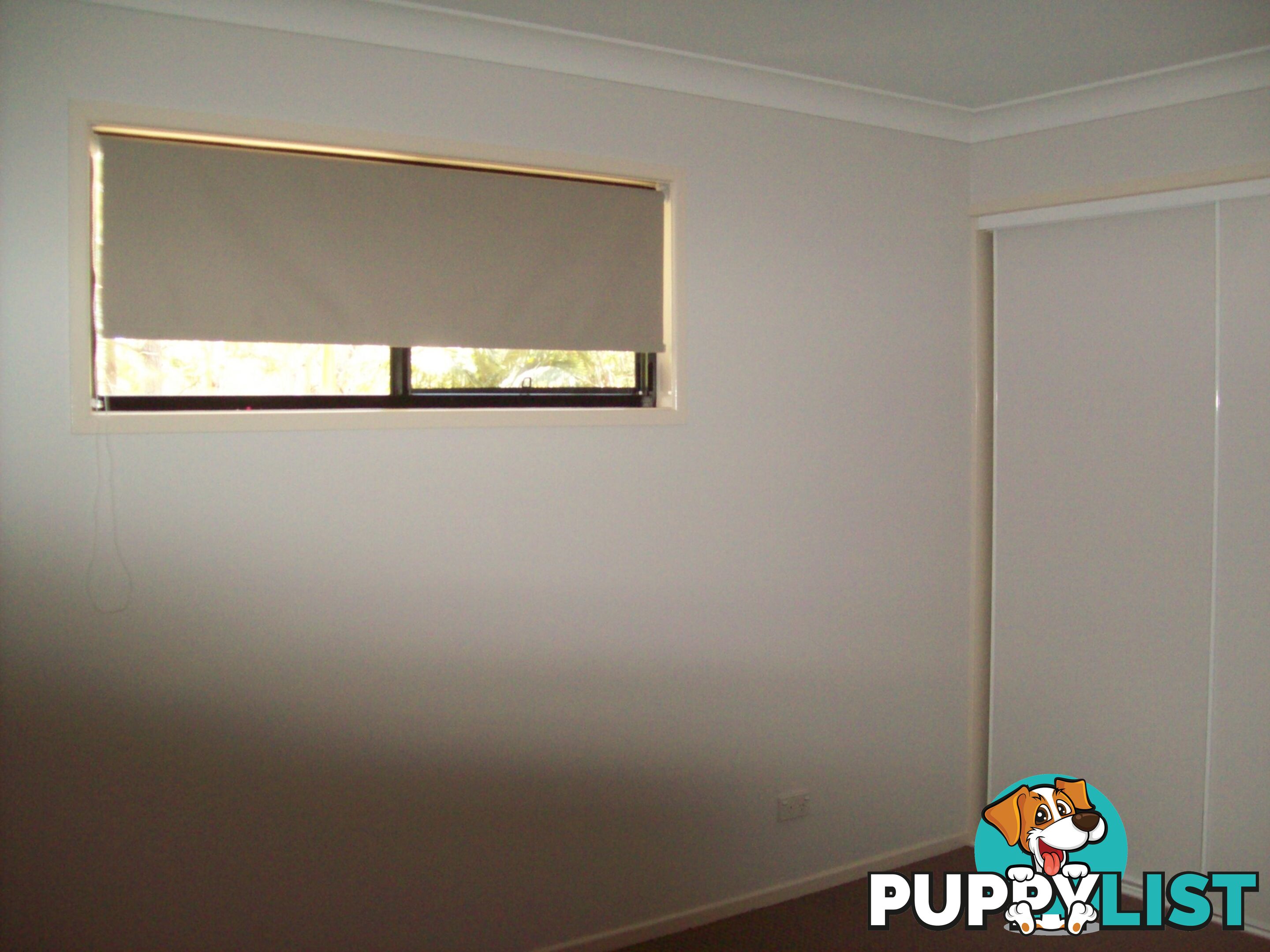 13 Conran Street MACLEAY ISLAND QLD 4184