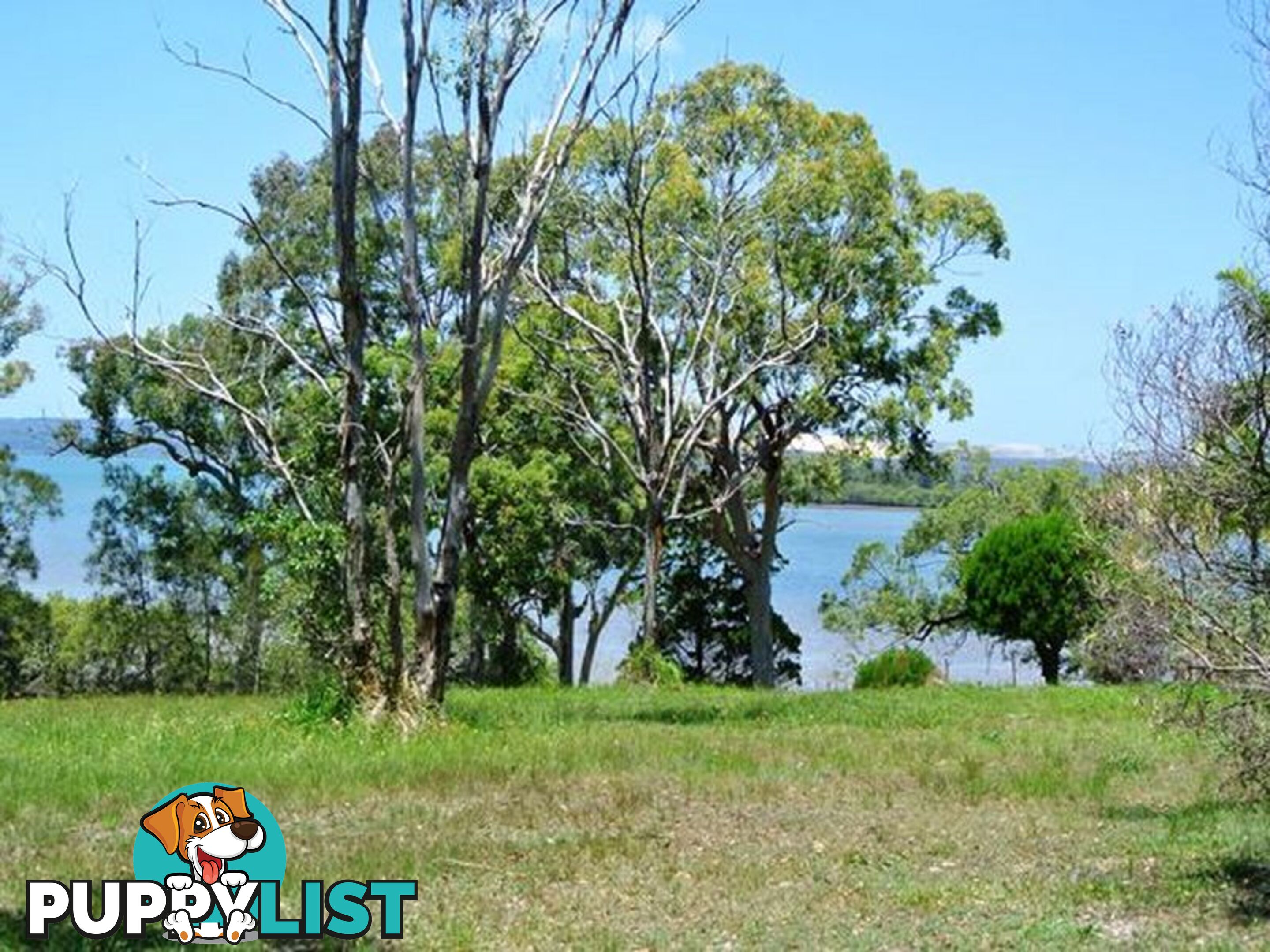 18 Weeroona Avenue MACLEAY ISLAND QLD 4184