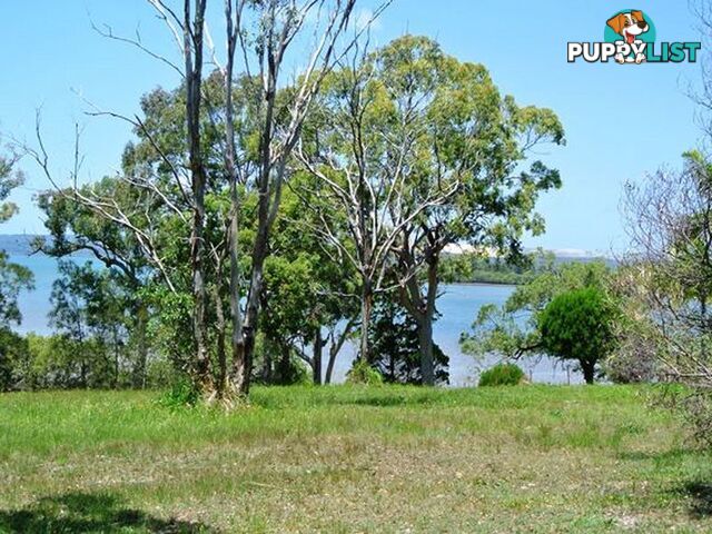 18 Weeroona Avenue MACLEAY ISLAND QLD 4184