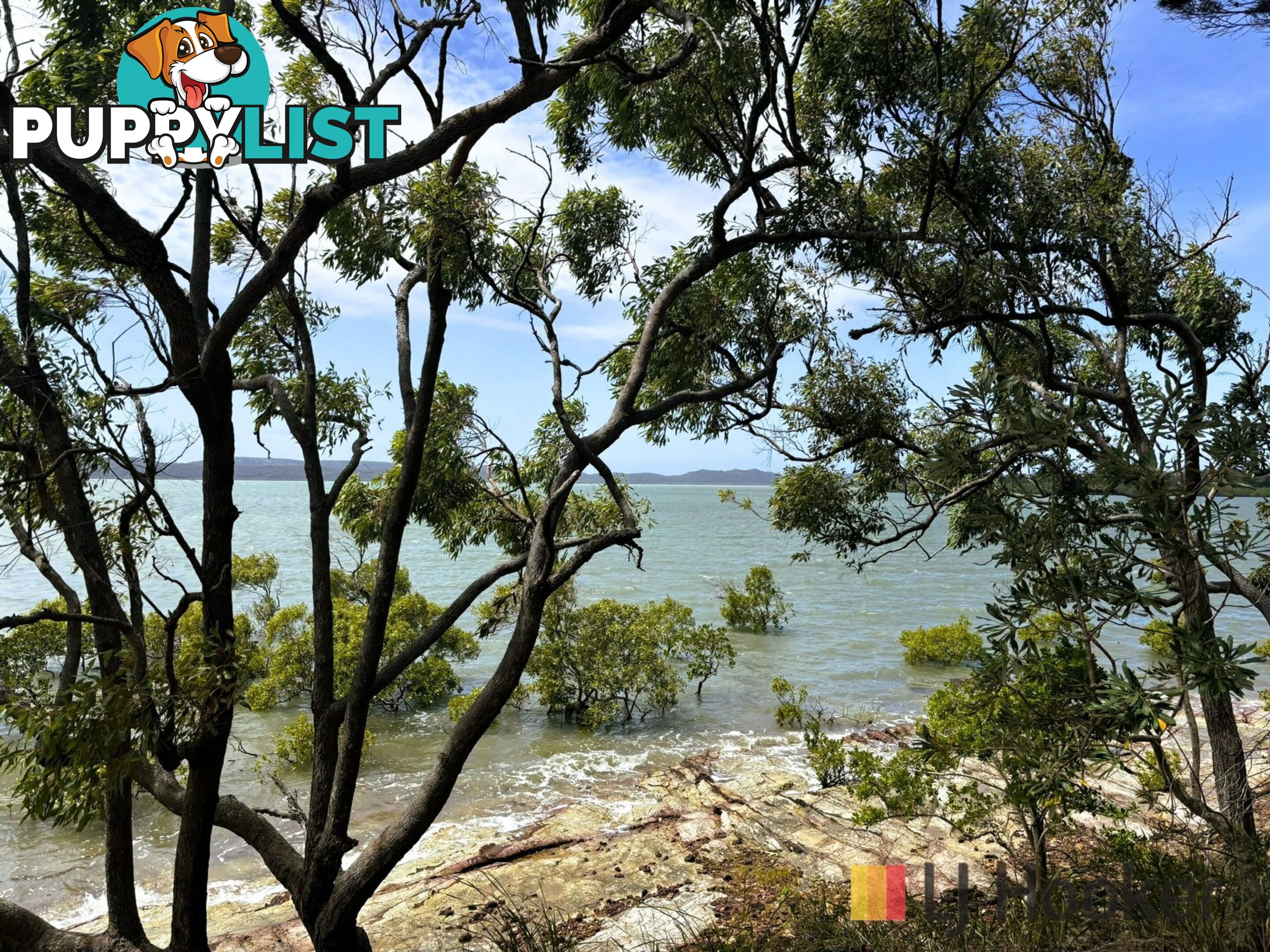 60 Koonwarra Parade MACLEAY ISLAND QLD 4184