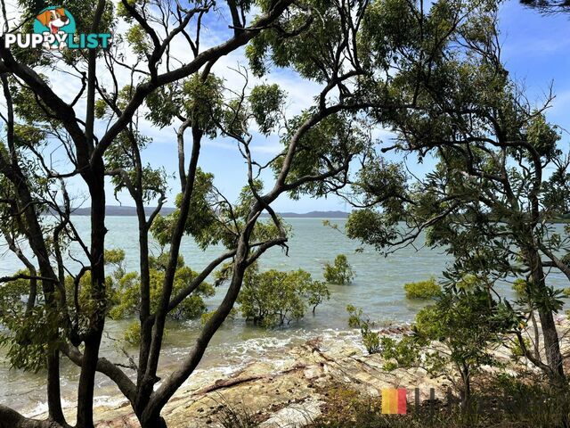 60 Koonwarra Parade MACLEAY ISLAND QLD 4184