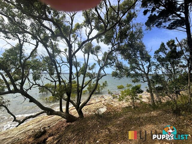 60 Koonwarra Parade MACLEAY ISLAND QLD 4184