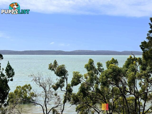 60 Koonwarra Parade MACLEAY ISLAND QLD 4184