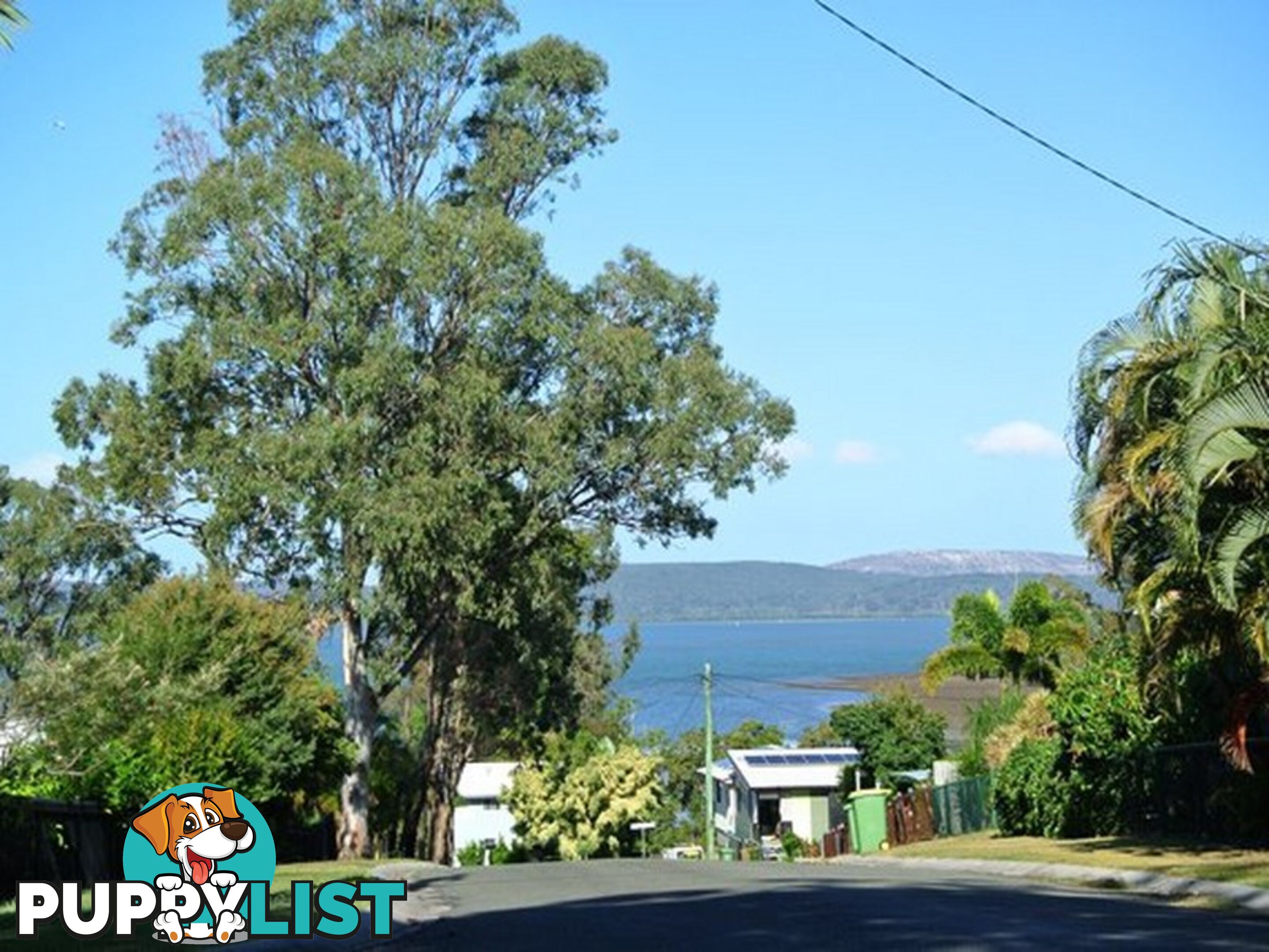 149 Kate Street MACLEAY ISLAND QLD 4184