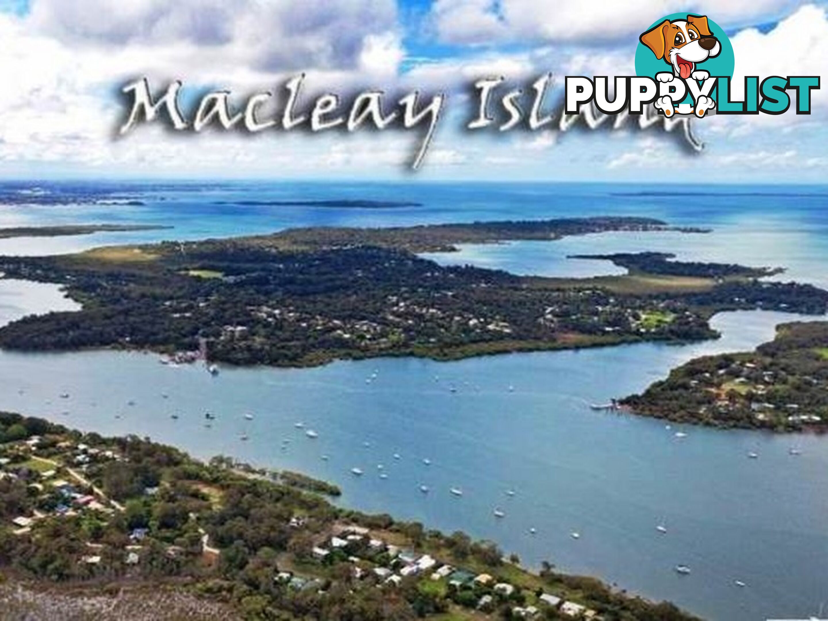 149 Kate Street MACLEAY ISLAND QLD 4184