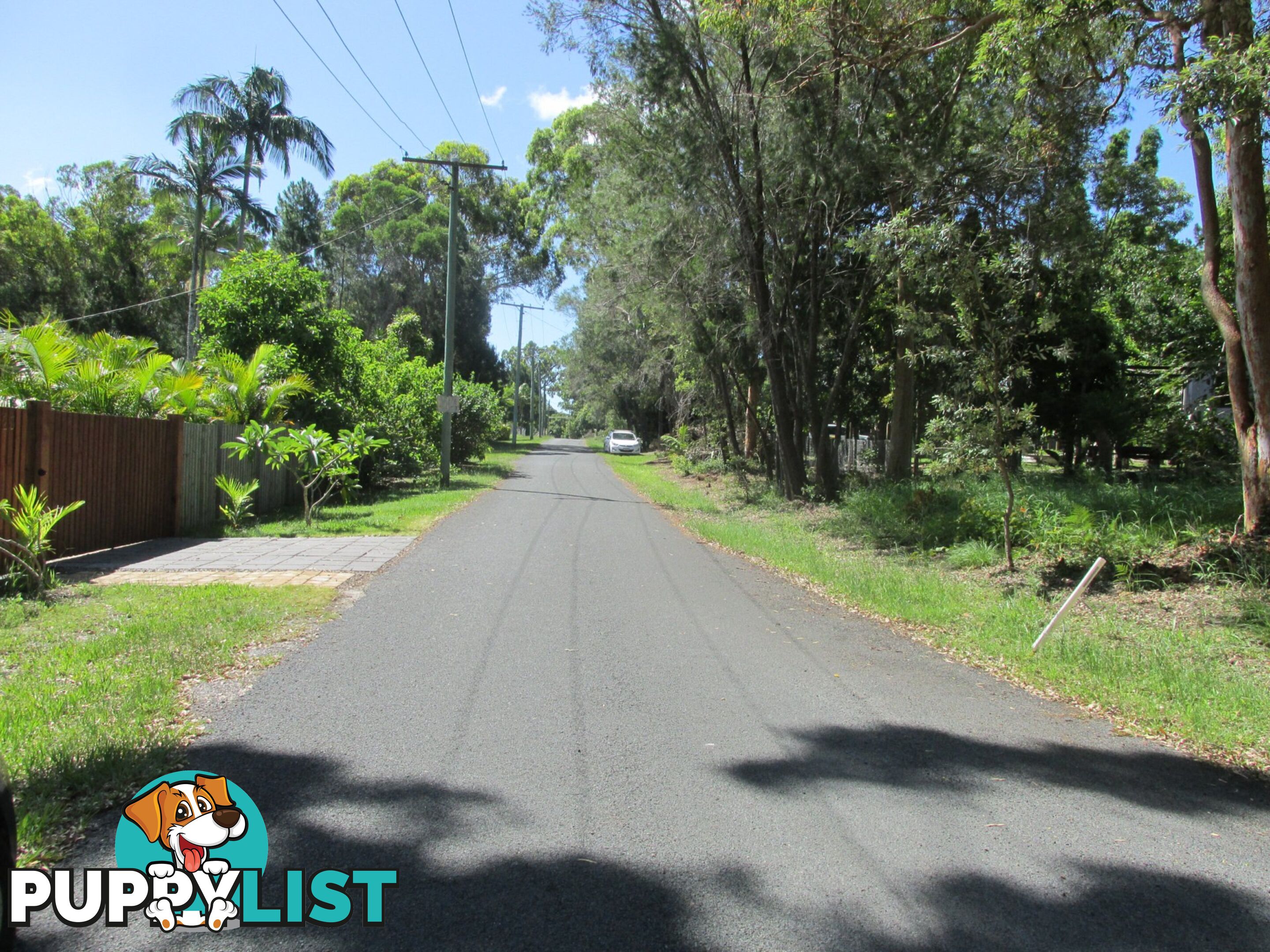 16 Arthur Street MACLEAY ISLAND QLD 4184