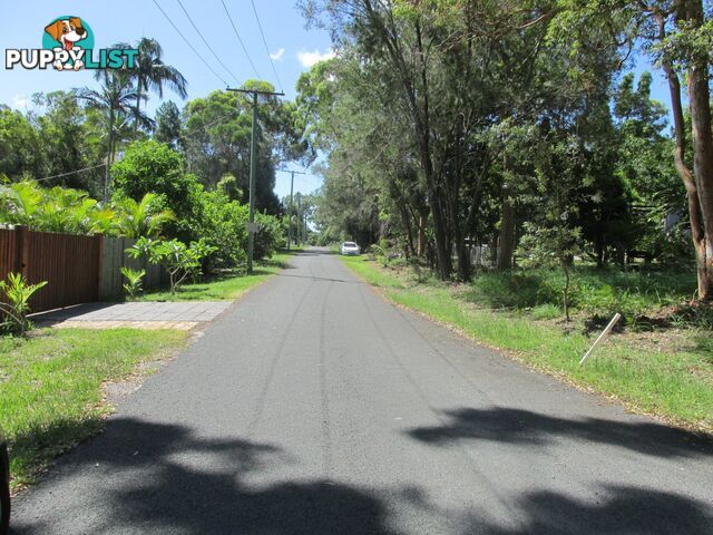 16 Arthur Street MACLEAY ISLAND QLD 4184