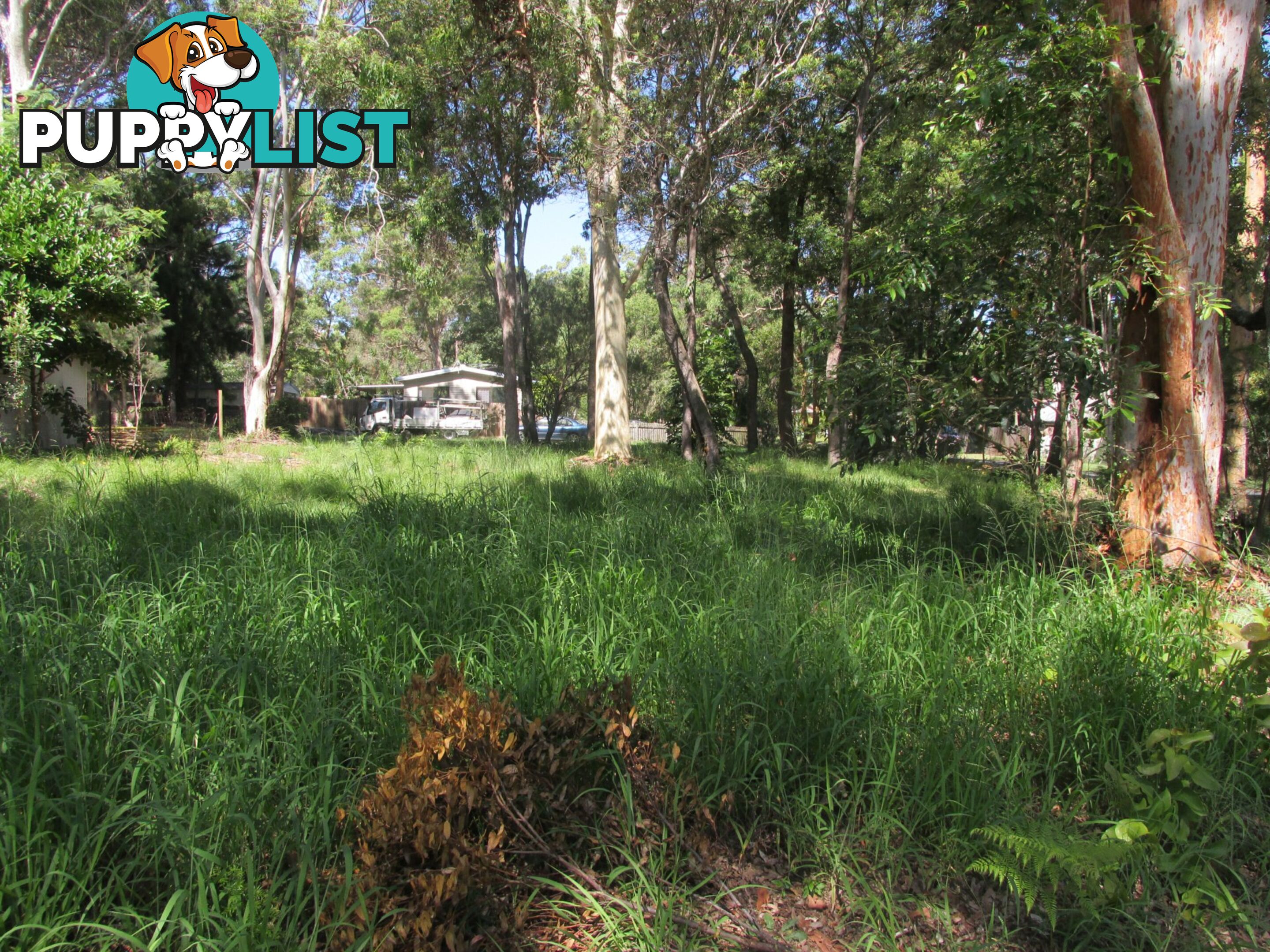 16 Arthur Street MACLEAY ISLAND QLD 4184