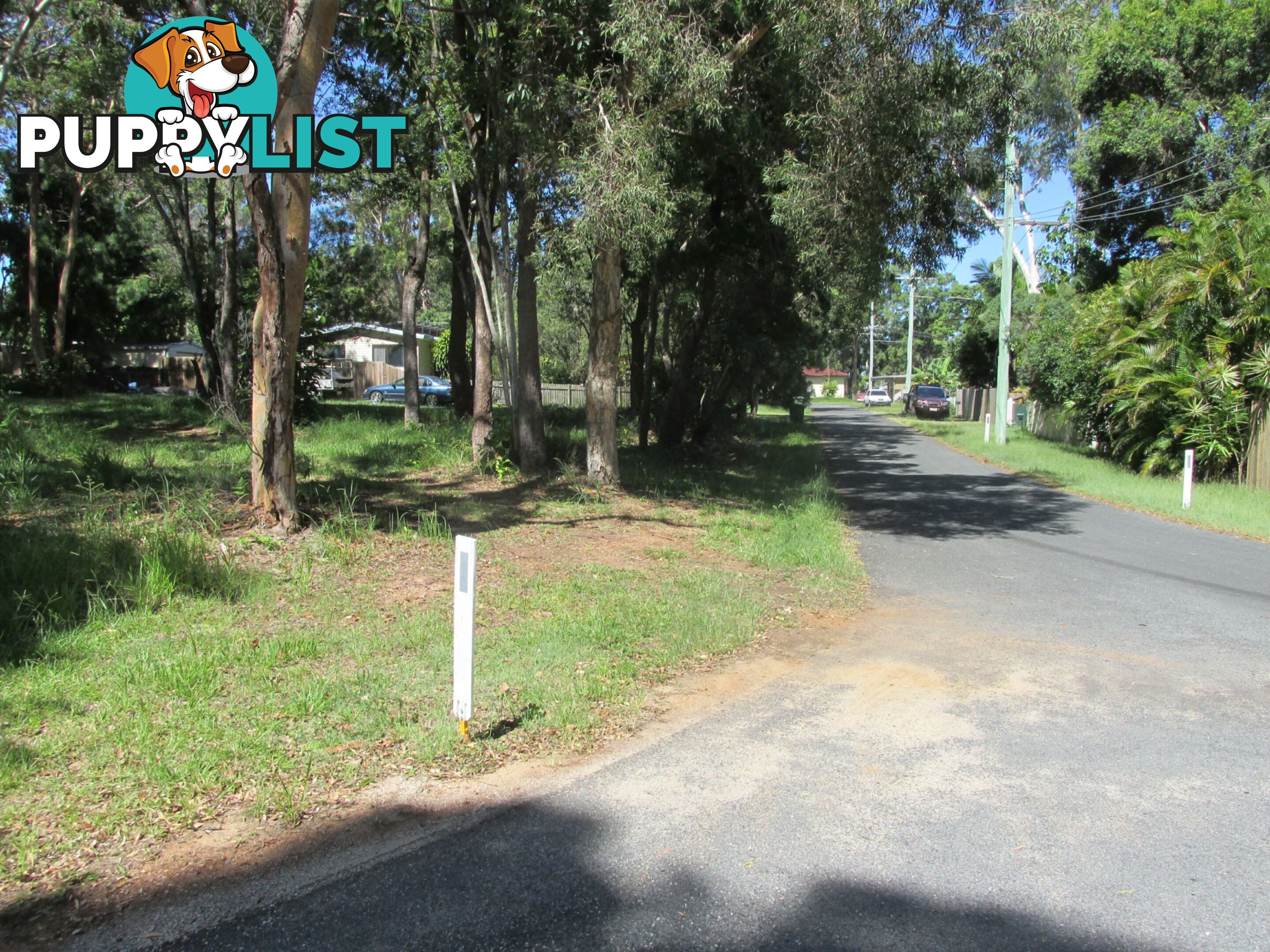 16 Arthur Street MACLEAY ISLAND QLD 4184