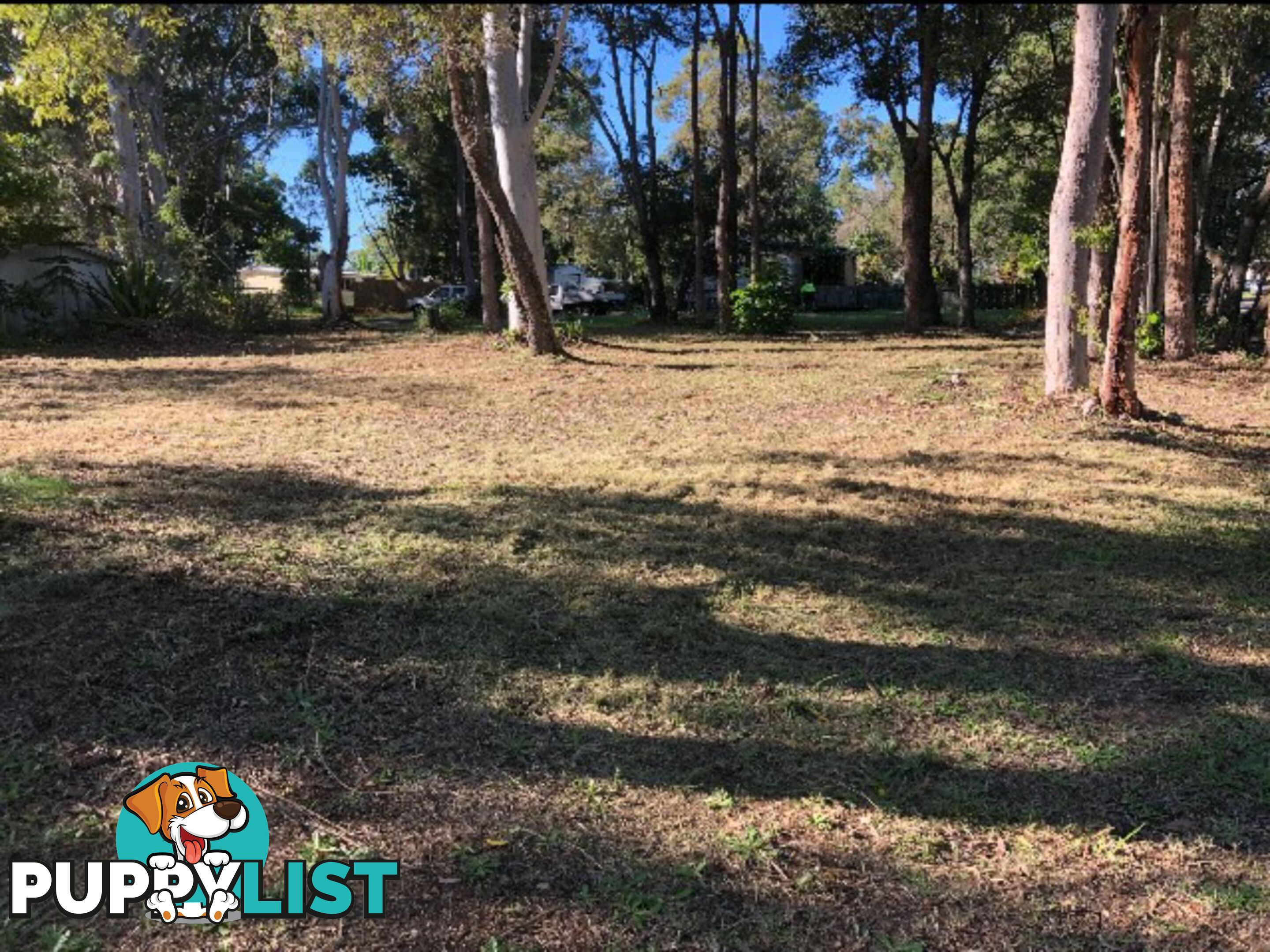 16 Arthur Street MACLEAY ISLAND QLD 4184