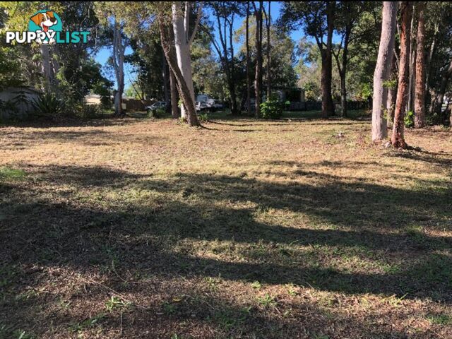 16 Arthur Street MACLEAY ISLAND QLD 4184