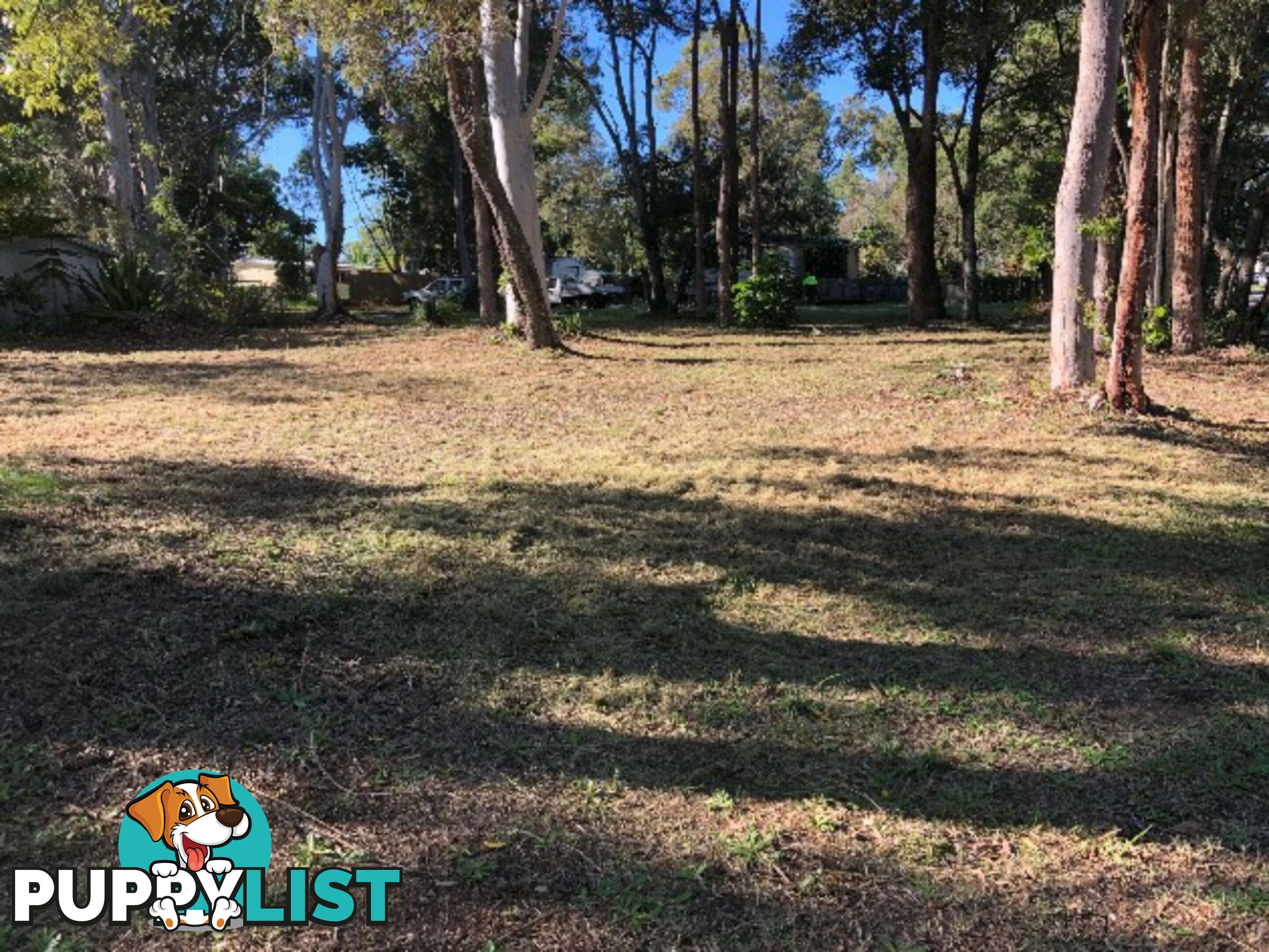 16 Arthur Street MACLEAY ISLAND QLD 4184