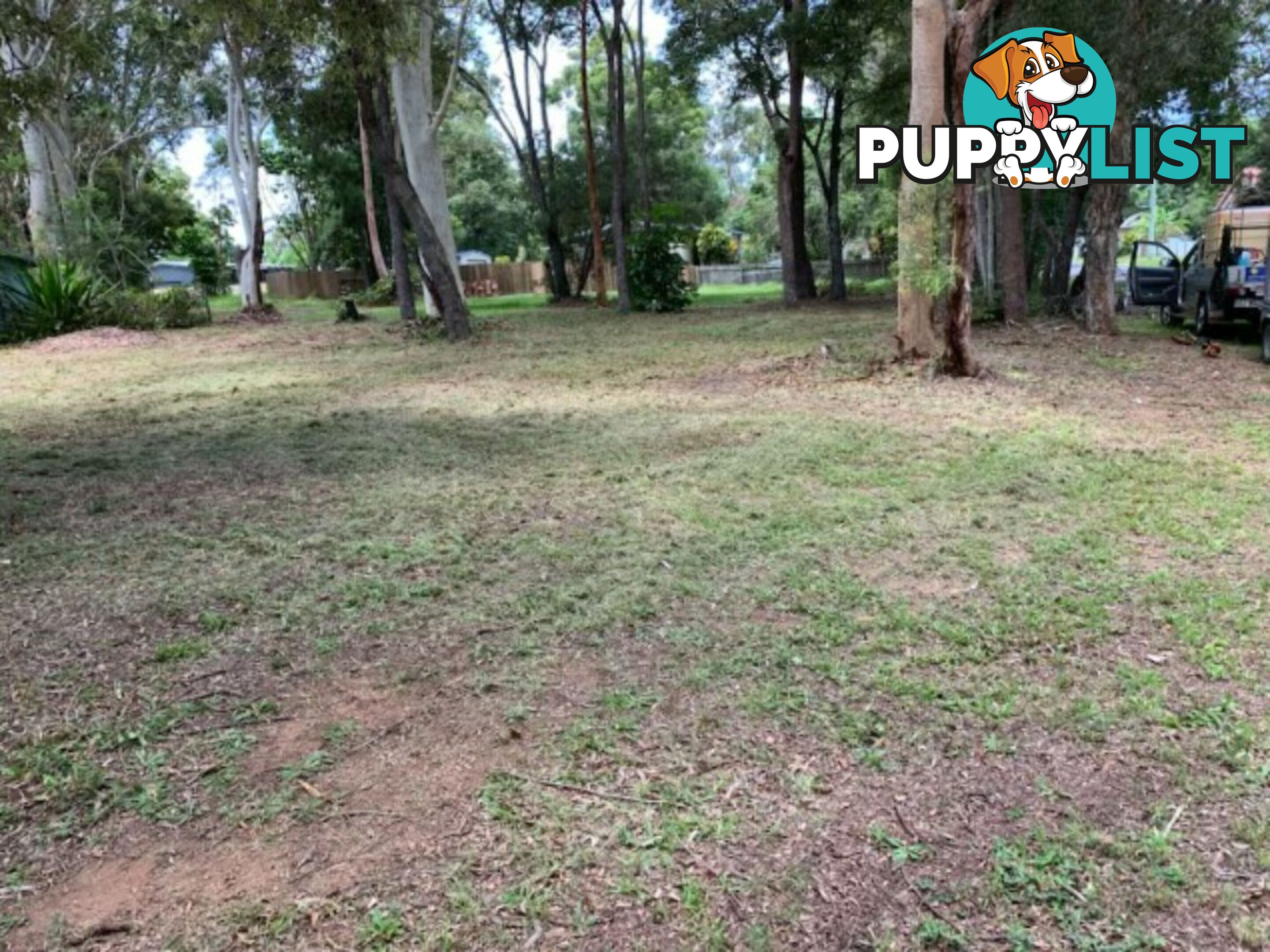 16 Arthur Street MACLEAY ISLAND QLD 4184
