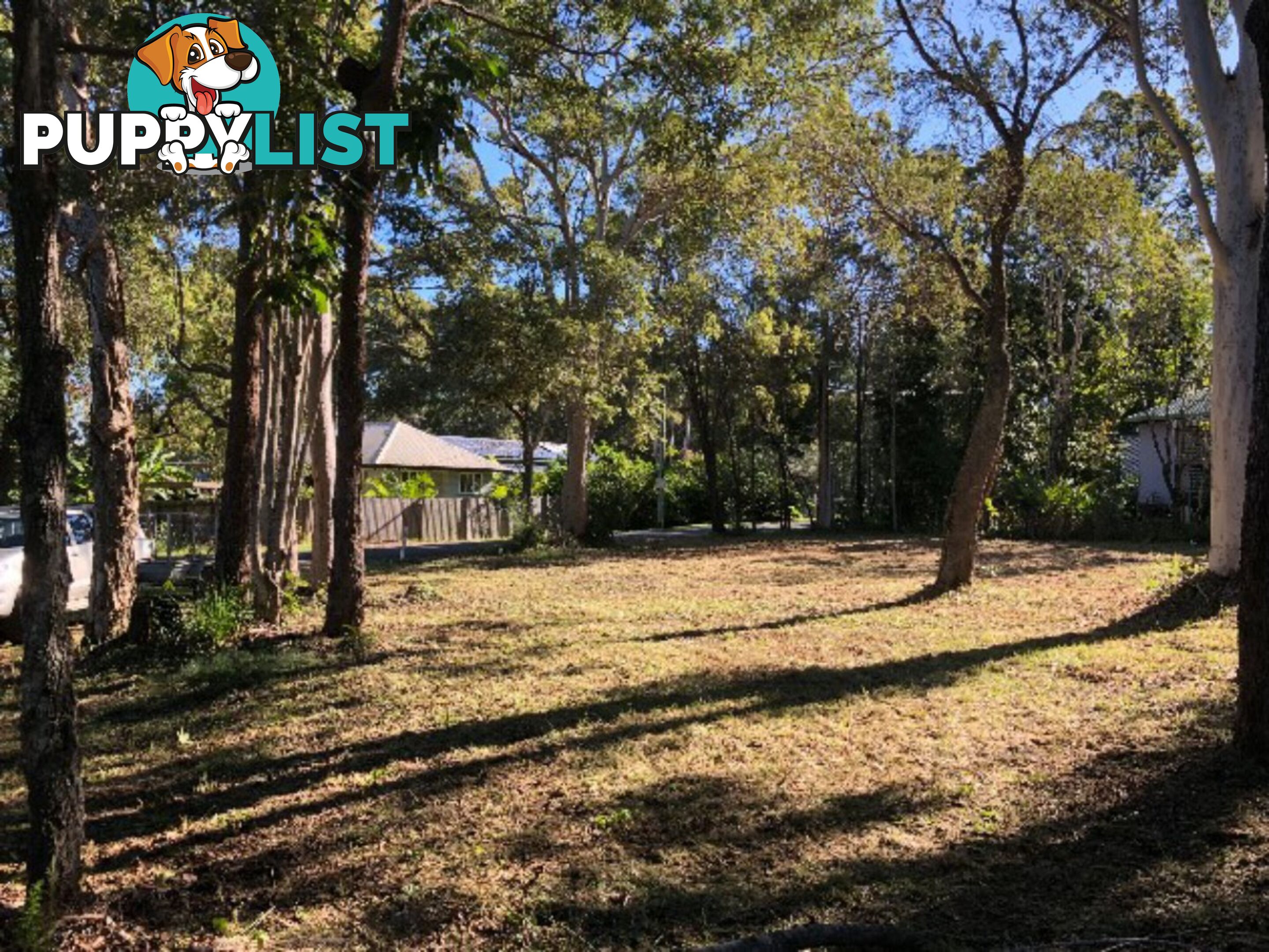 16 Arthur Street MACLEAY ISLAND QLD 4184