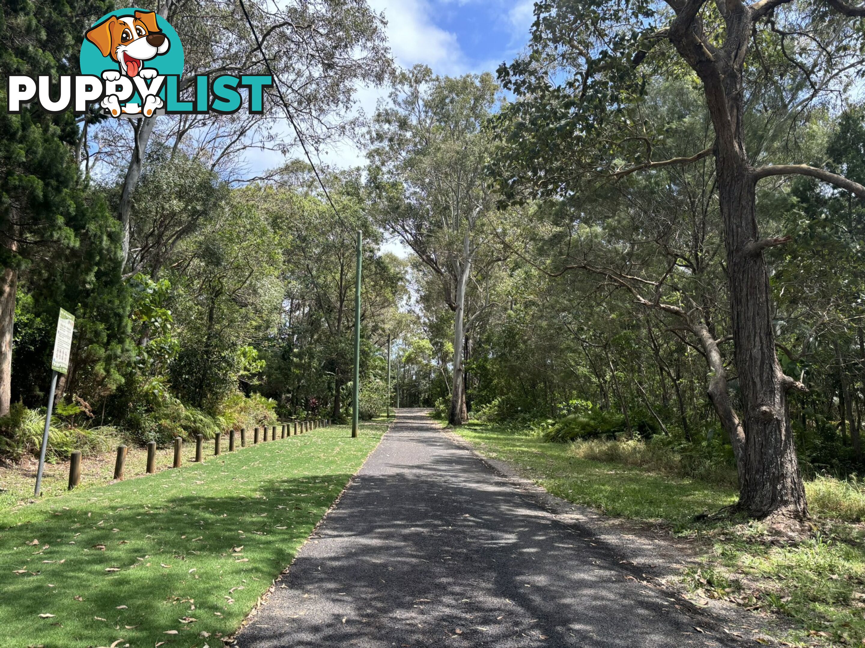 13 Columbia Street MACLEAY ISLAND QLD 4184