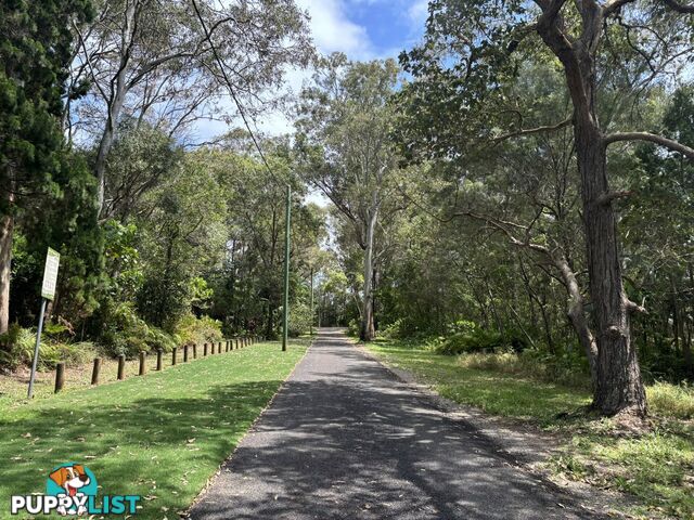 13 Columbia Street MACLEAY ISLAND QLD 4184