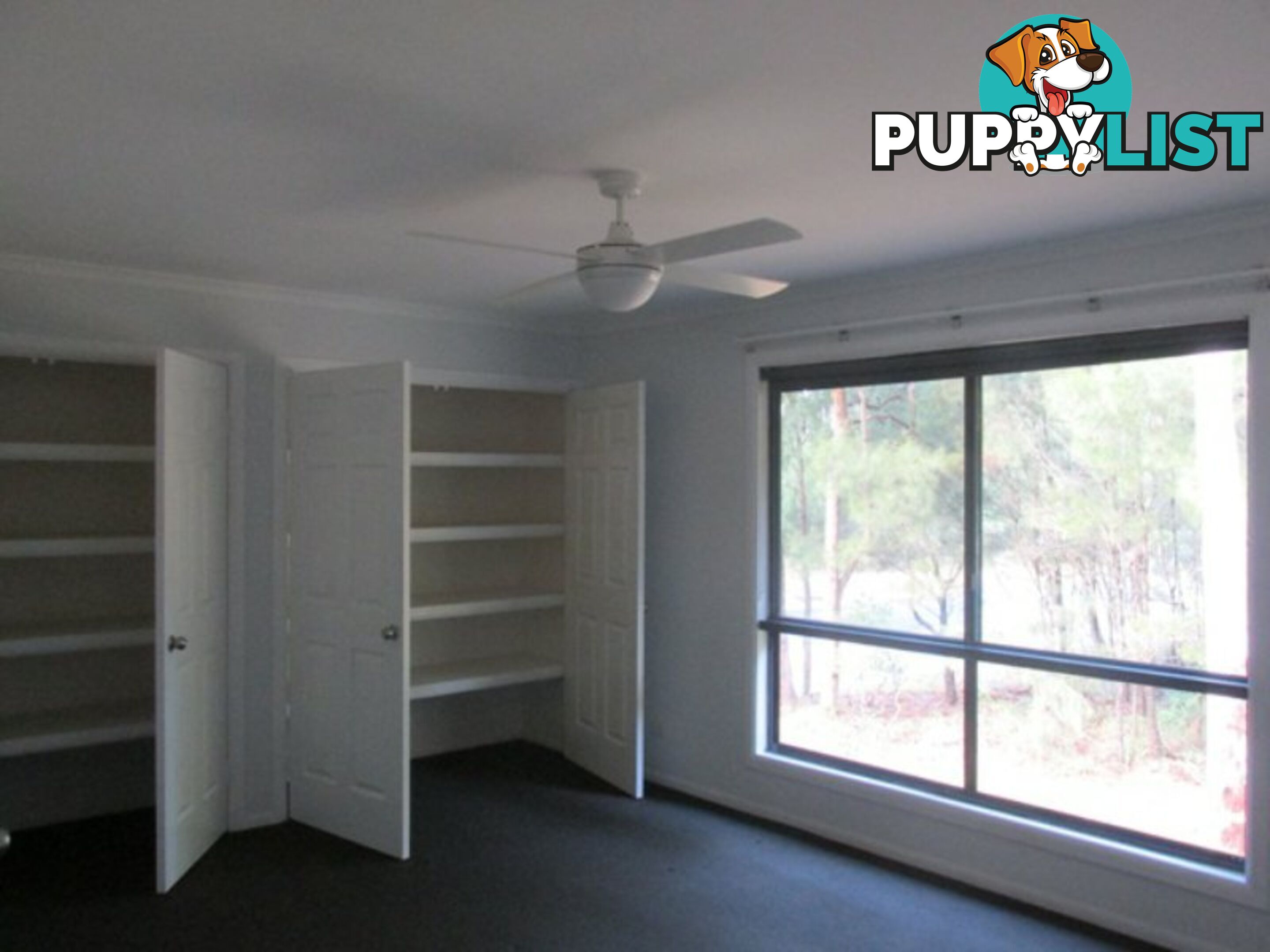 15 Kate Street MACLEAY ISLAND QLD 4184