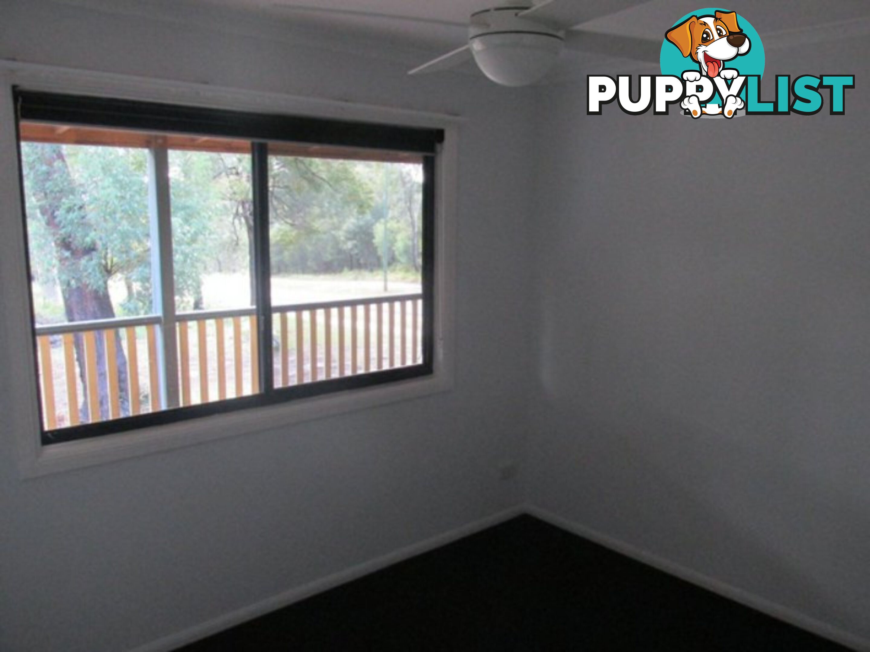 15 Kate Street MACLEAY ISLAND QLD 4184