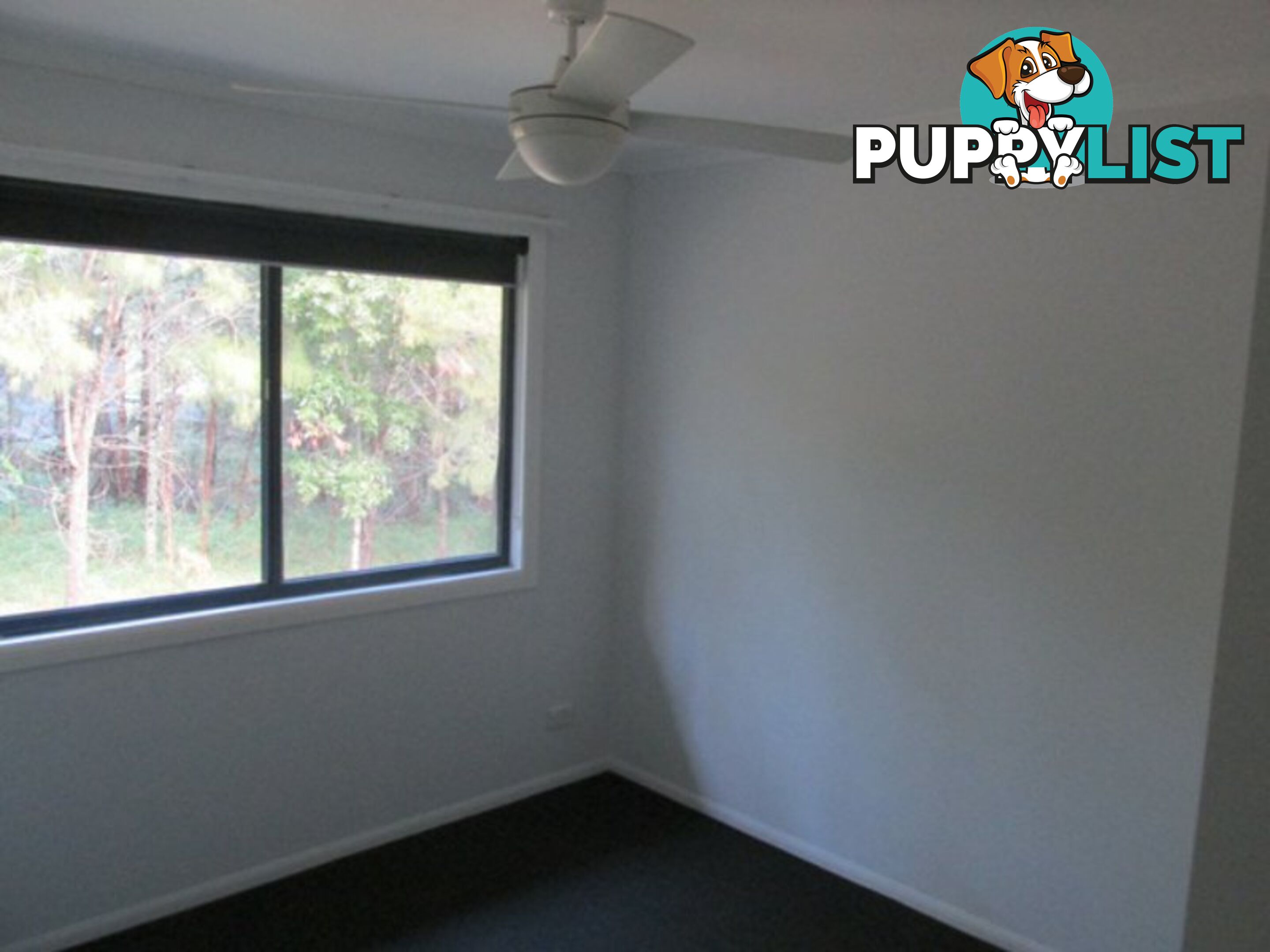 15 Kate Street MACLEAY ISLAND QLD 4184