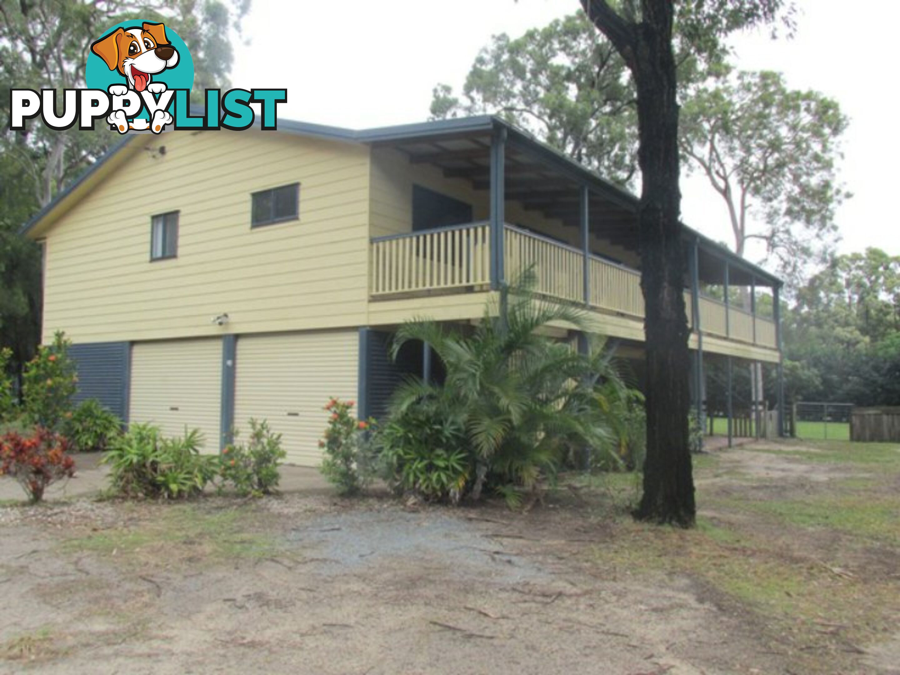15 Kate Street MACLEAY ISLAND QLD 4184