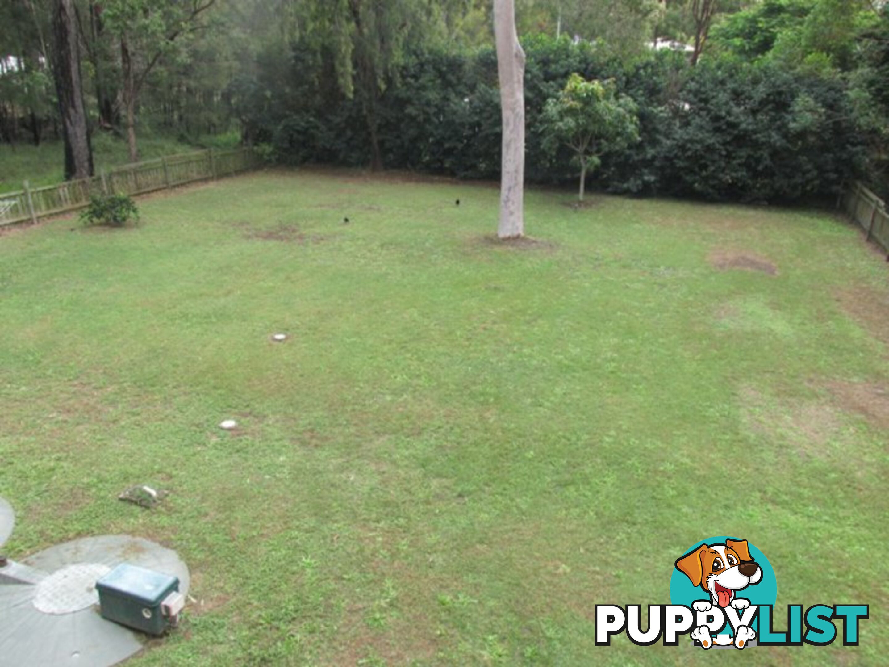 15 Kate Street MACLEAY ISLAND QLD 4184