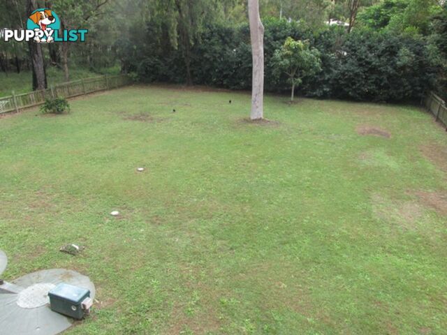 15 Kate Street MACLEAY ISLAND QLD 4184