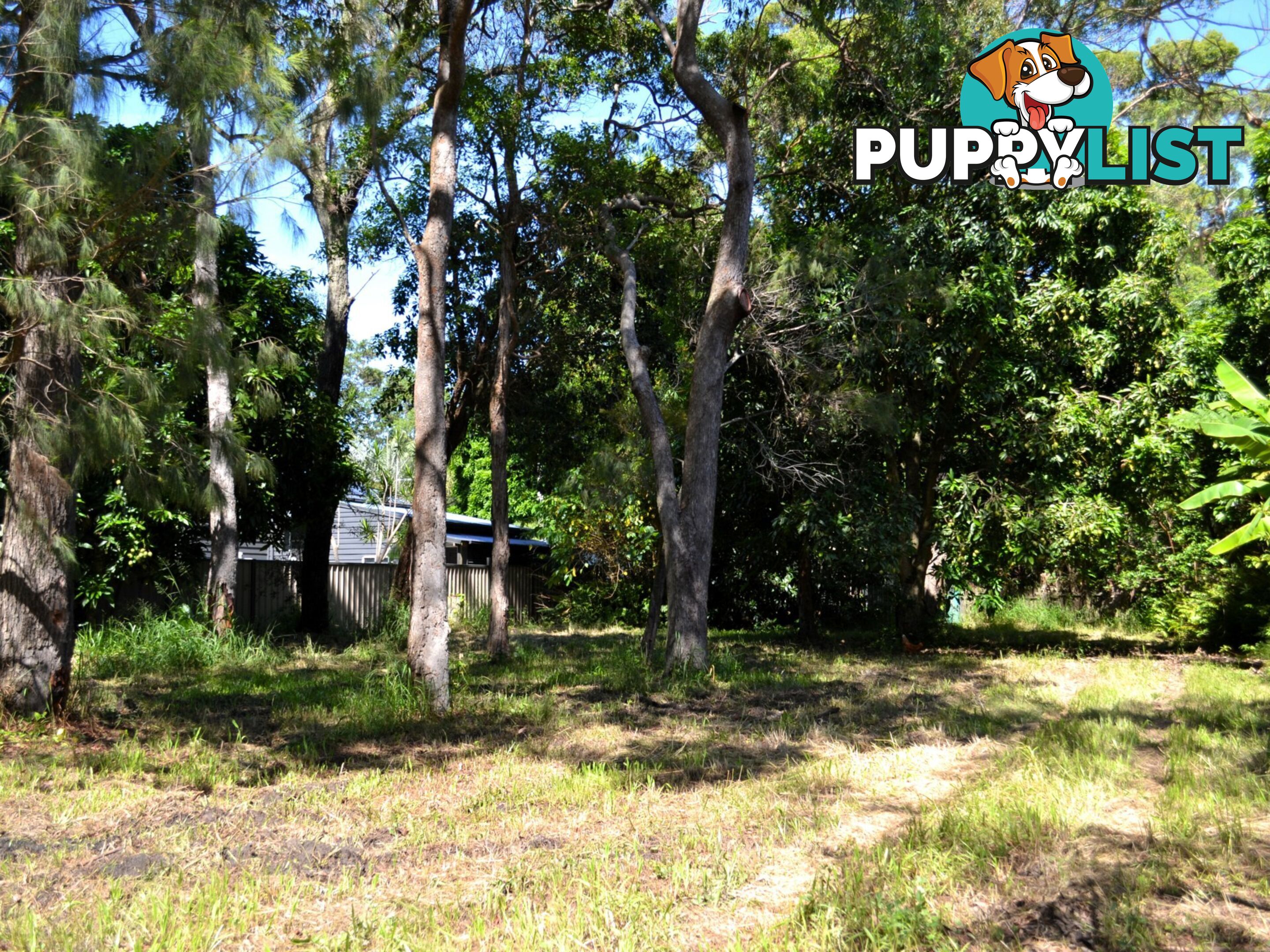 33 Cooee Crescent MACLEAY ISLAND QLD 4184