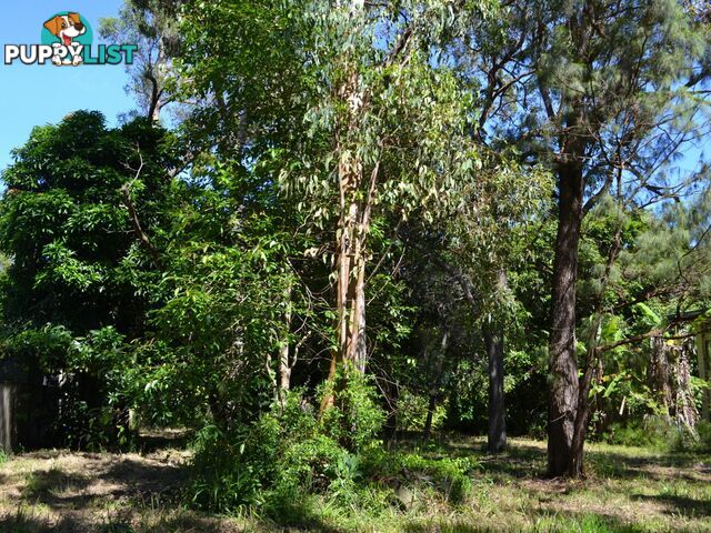 33 Cooee Crescent MACLEAY ISLAND QLD 4184