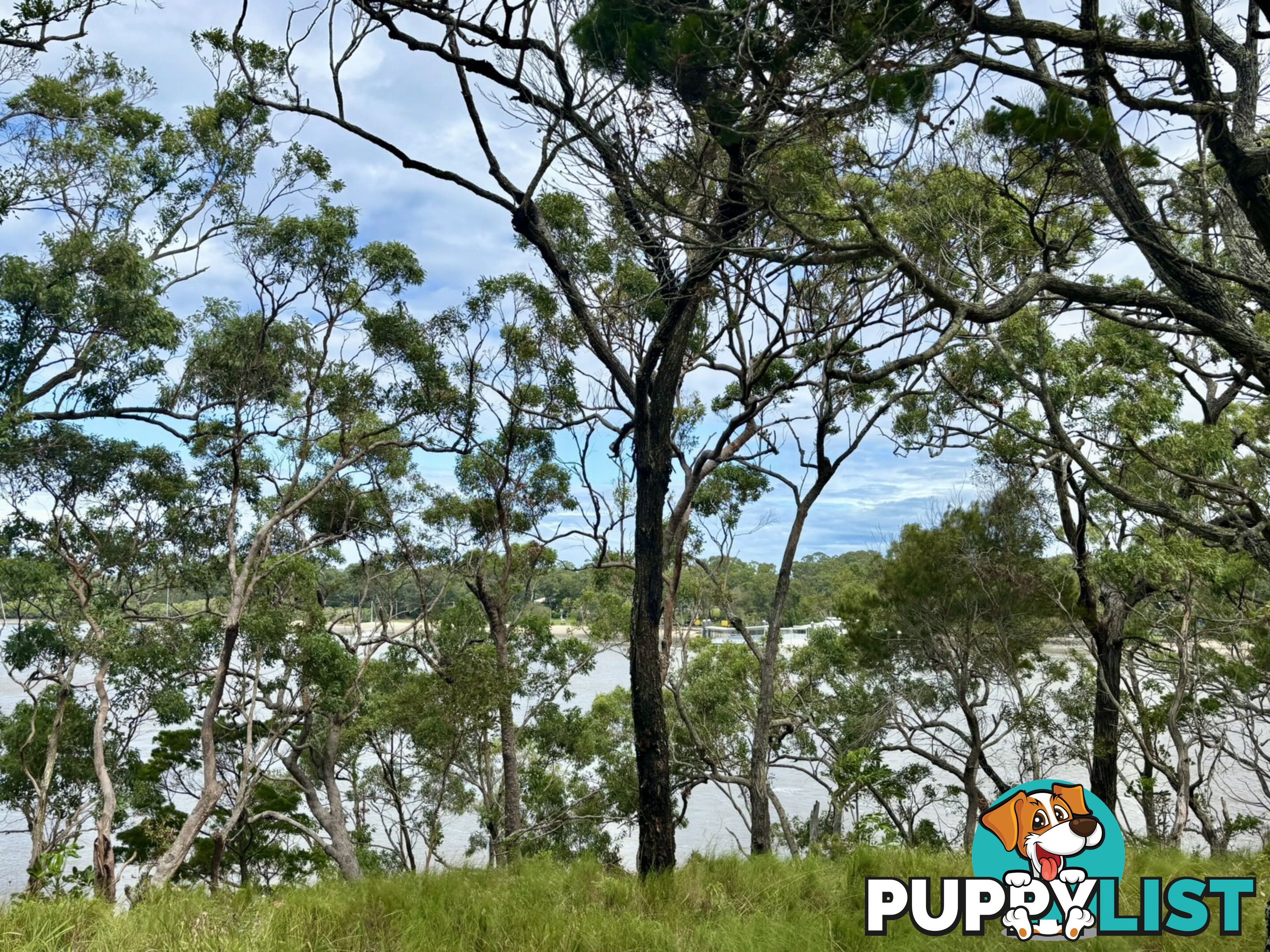 6-8 & 12-1 High Central Road MACLEAY ISLAND QLD 4184