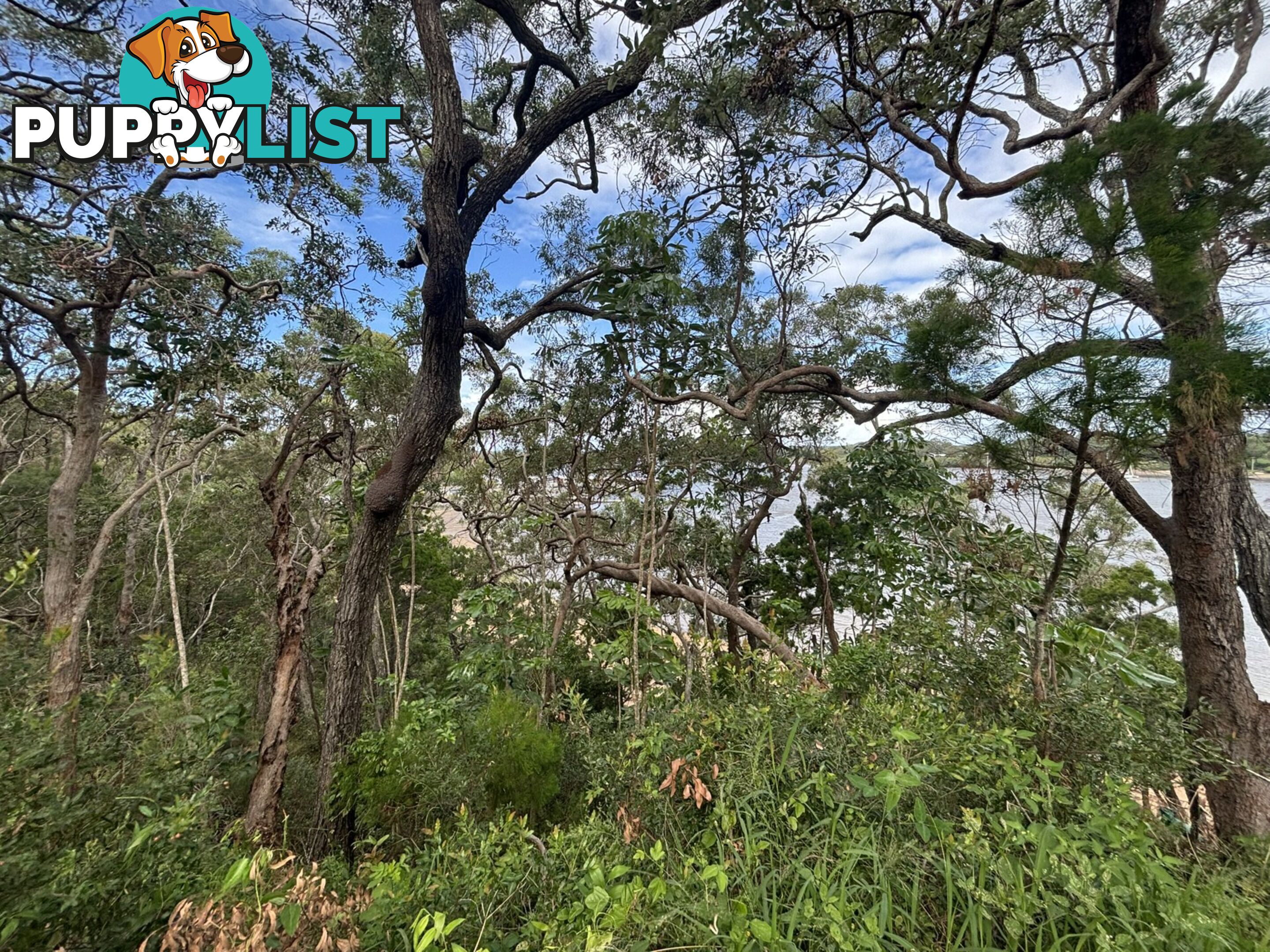 6-8 & 12-1 High Central Road MACLEAY ISLAND QLD 4184