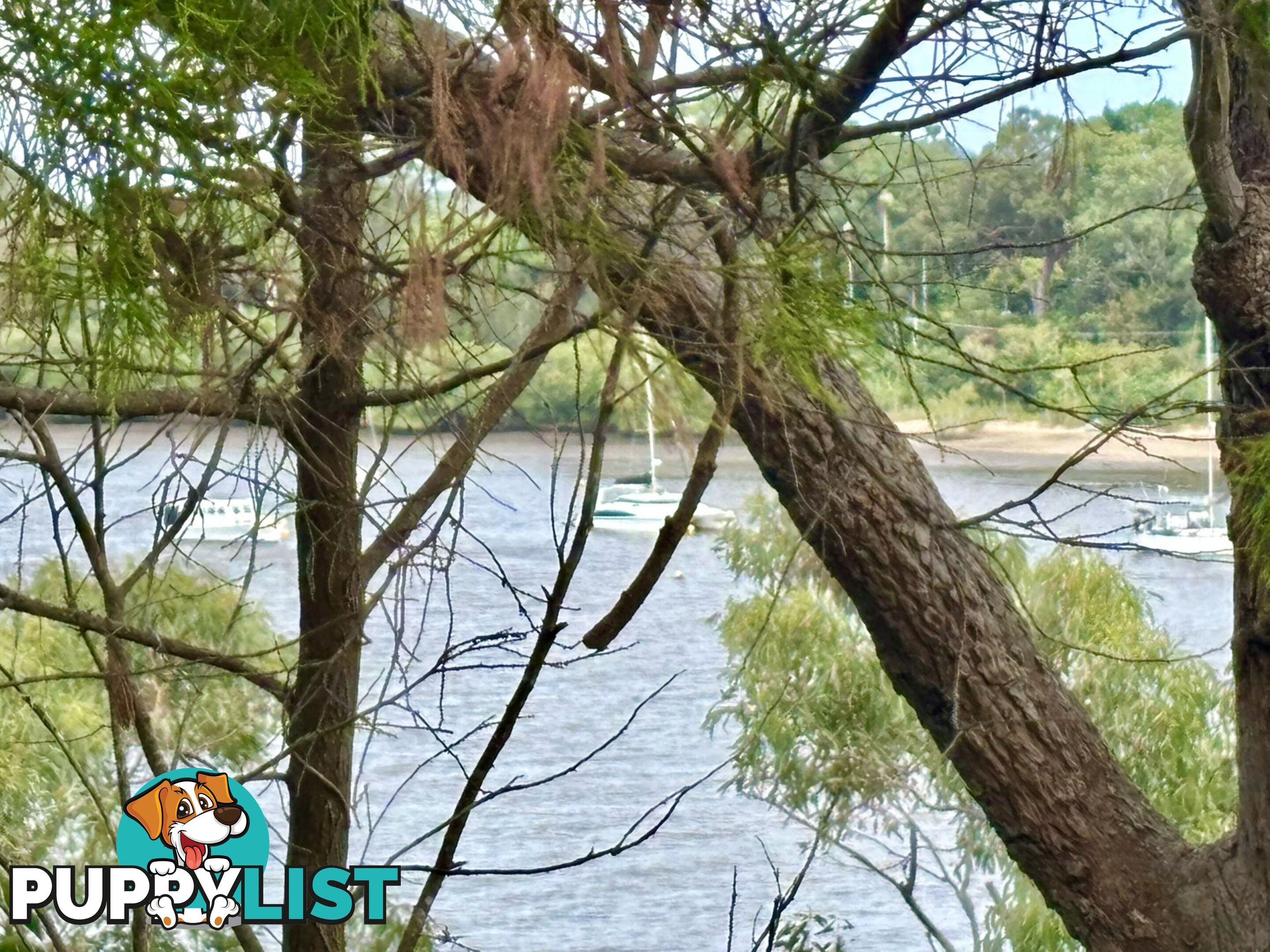 6-8 & 12-1 High Central Road MACLEAY ISLAND QLD 4184
