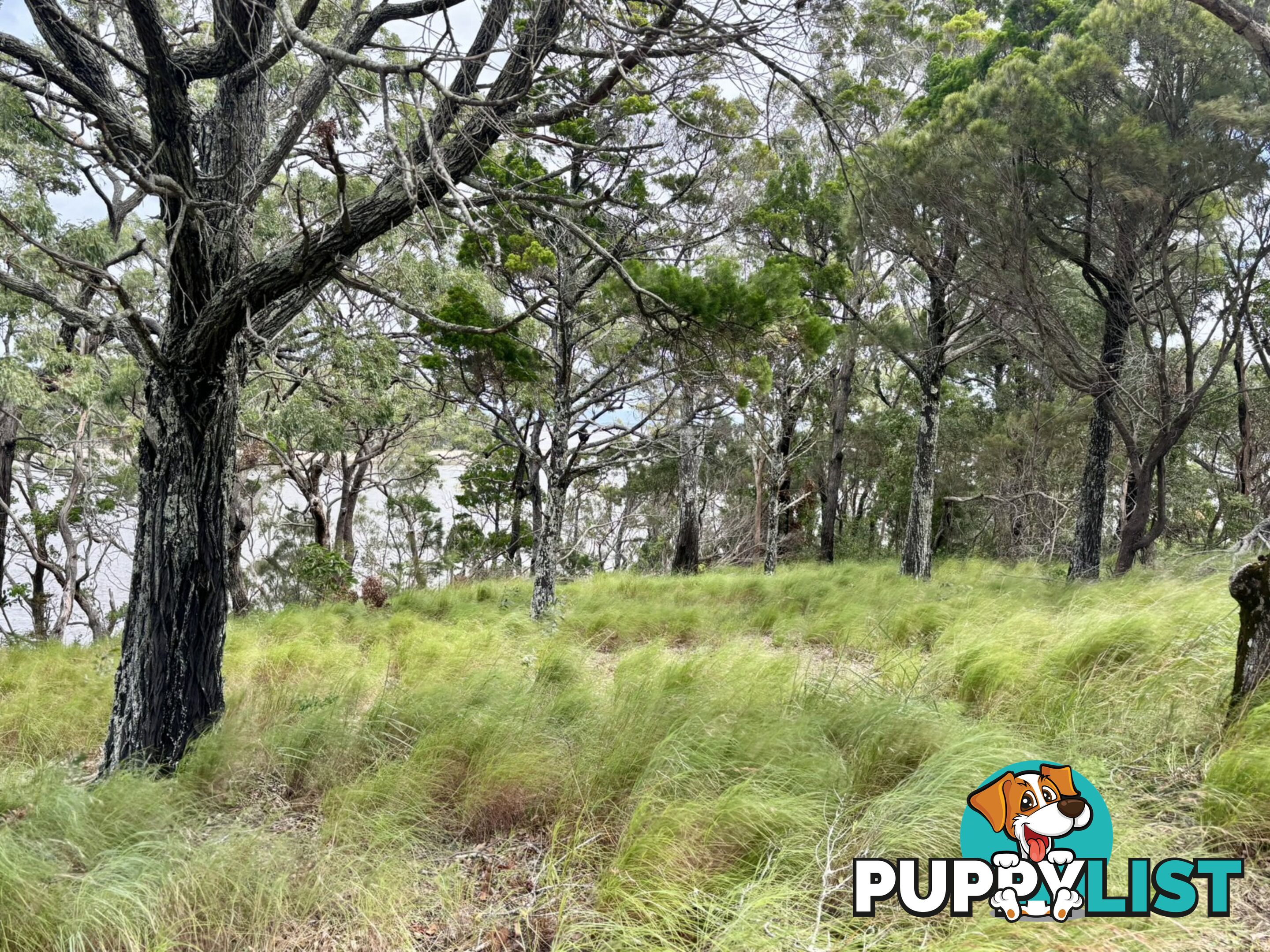 6-8 & 12-1 High Central Road MACLEAY ISLAND QLD 4184