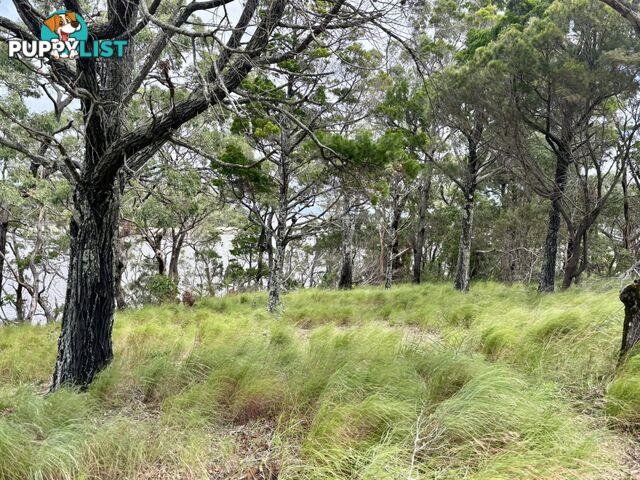 6-8 & 12-1 High Central Road MACLEAY ISLAND QLD 4184