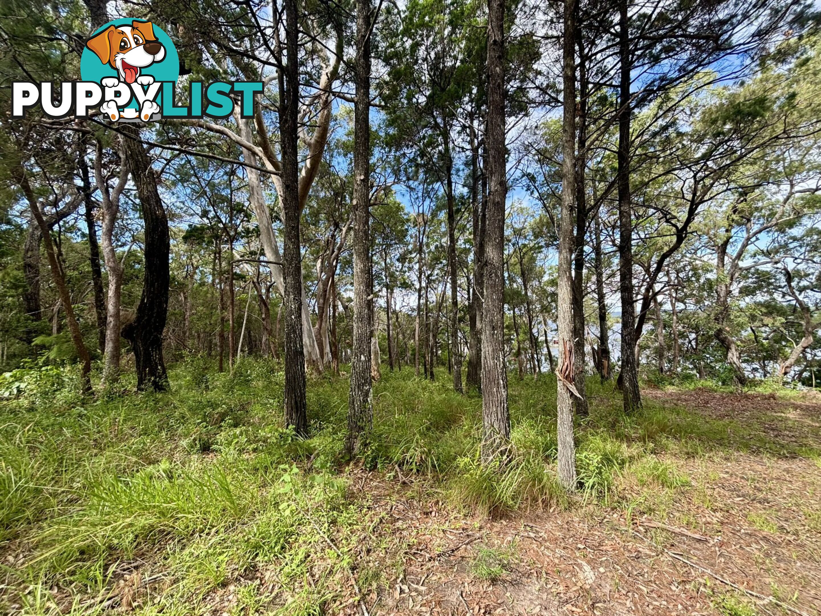 6-8 & 12-1 High Central Road MACLEAY ISLAND QLD 4184