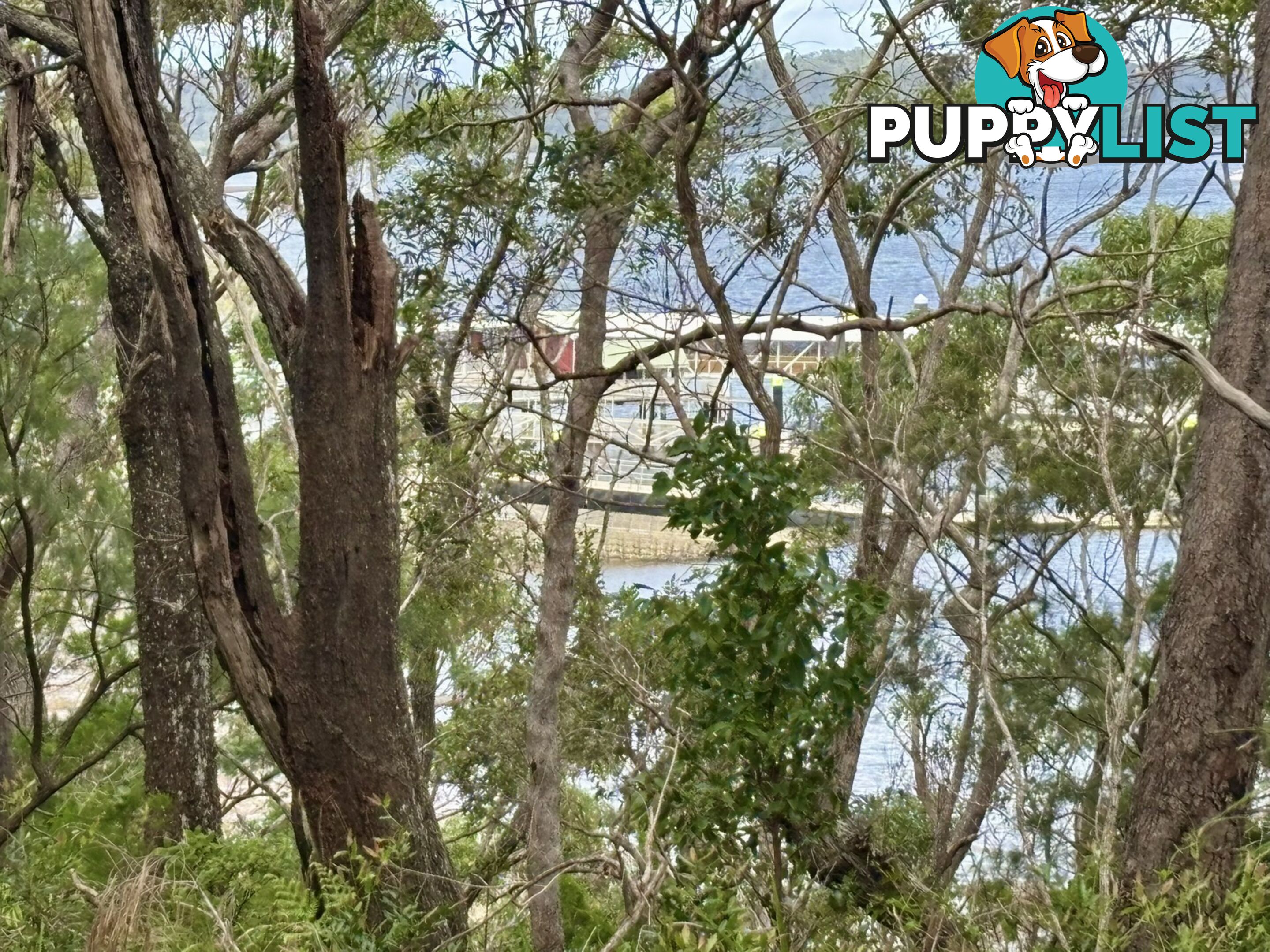 6-8 & 12-1 High Central Road MACLEAY ISLAND QLD 4184