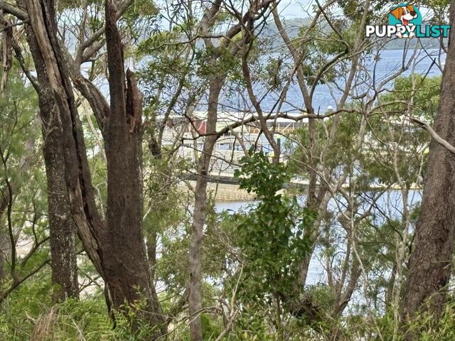 6-8 & 12-1 High Central Road MACLEAY ISLAND QLD 4184