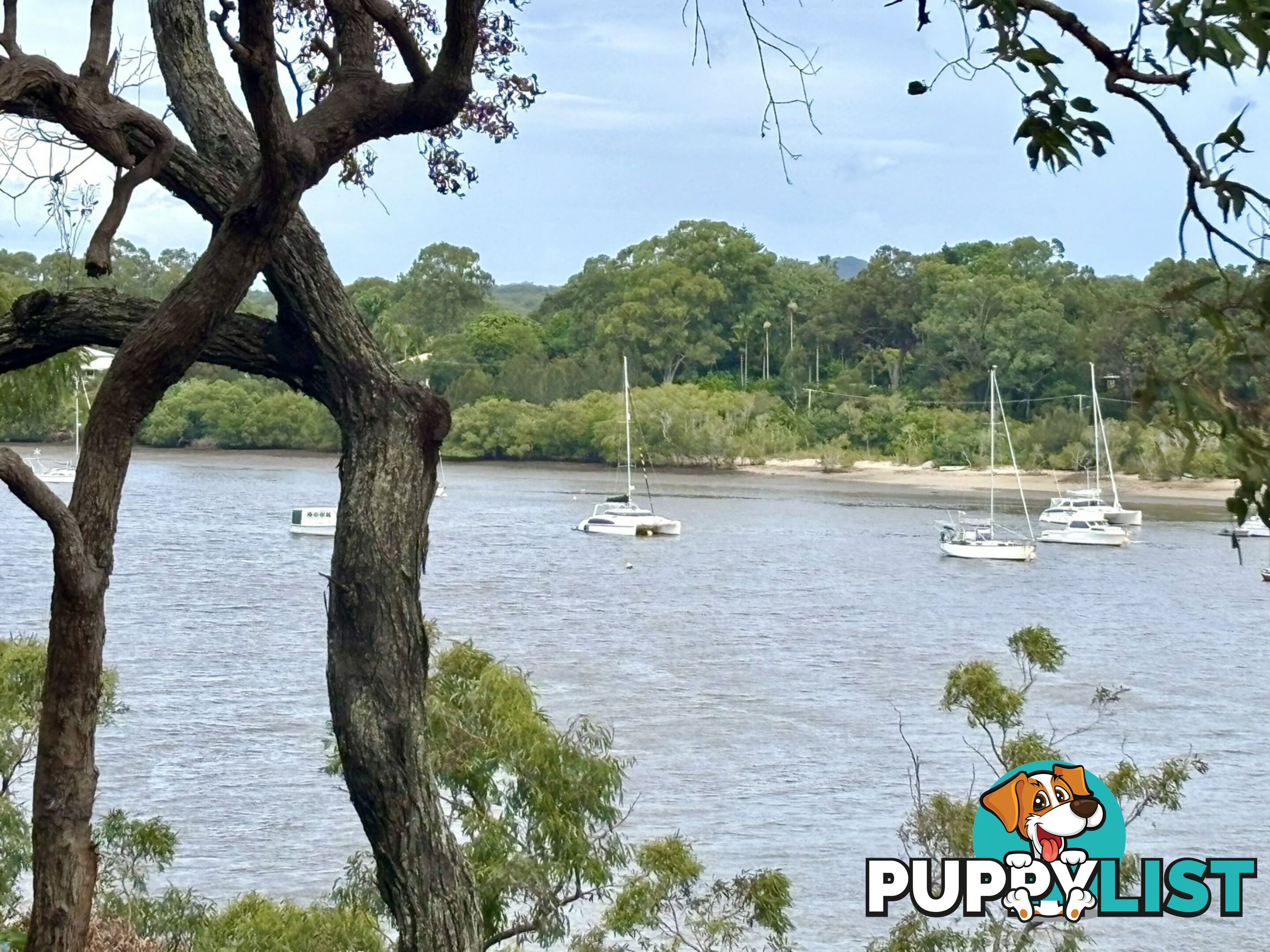 6-8 & 12-1 High Central Road MACLEAY ISLAND QLD 4184