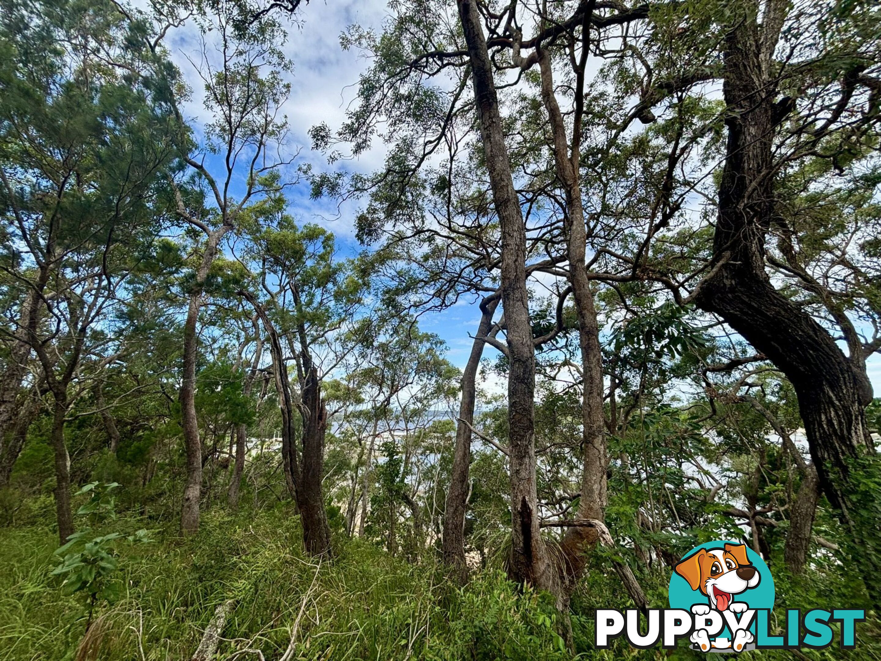 6-8 & 12-1 High Central Road MACLEAY ISLAND QLD 4184