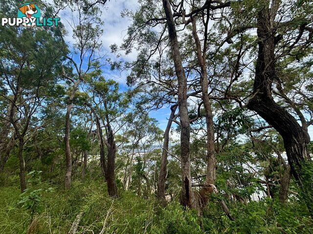 6-8 & 12-1 High Central Road MACLEAY ISLAND QLD 4184